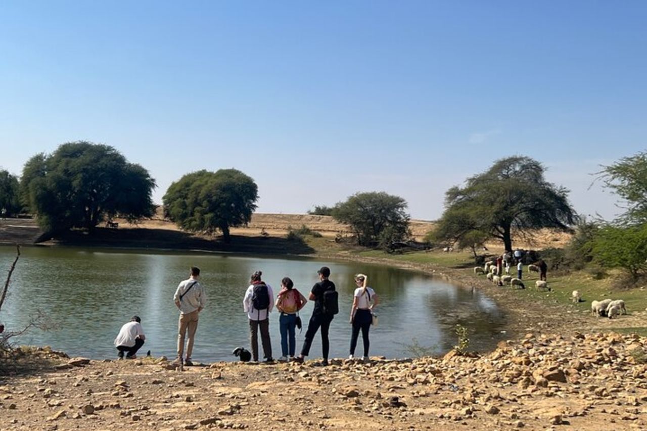 Safari notturno non turistico in cammello — 4