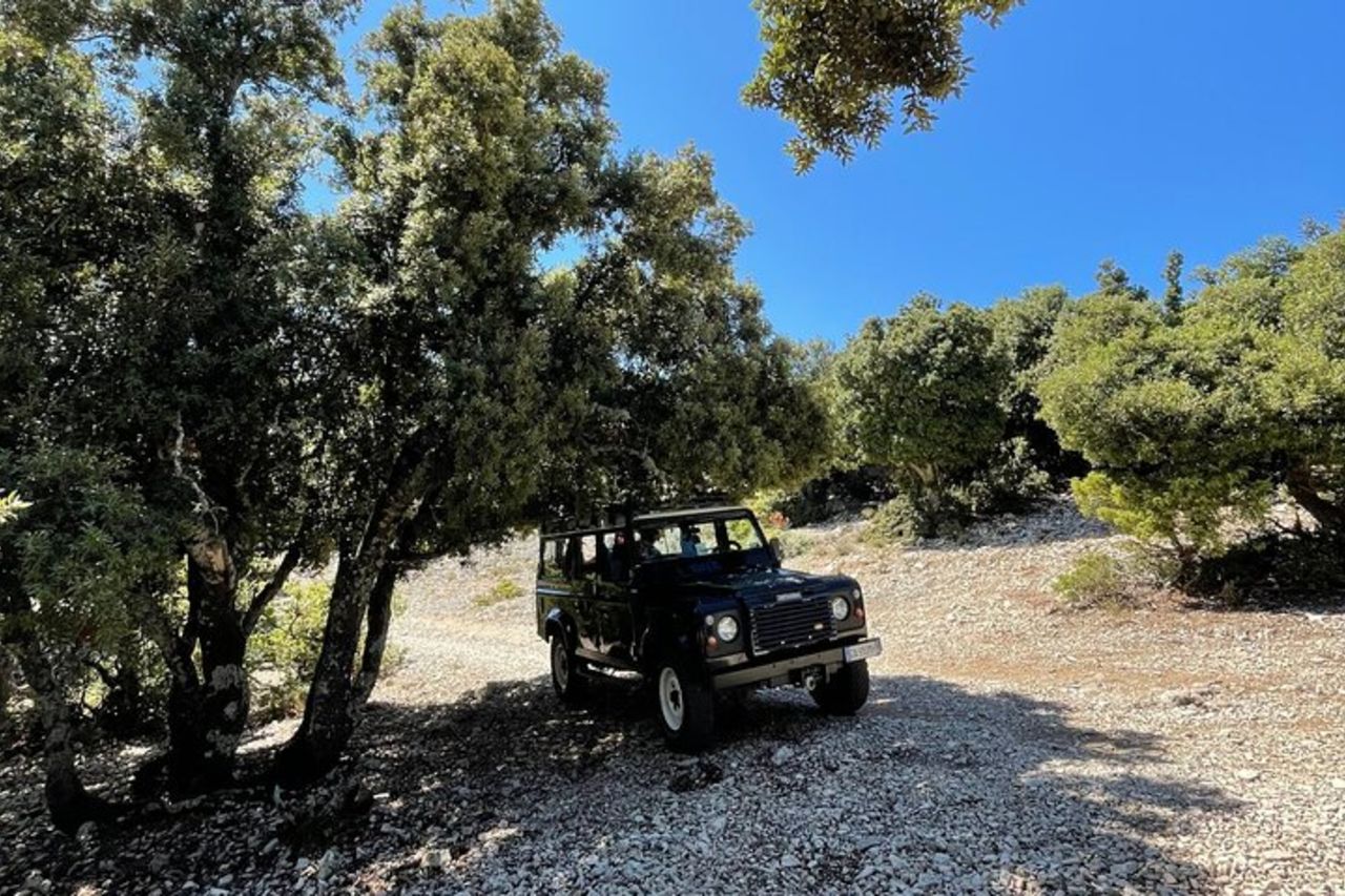 Tour enogastronomico e dell'artigianato di Dorgali da Cala Ganone — 8