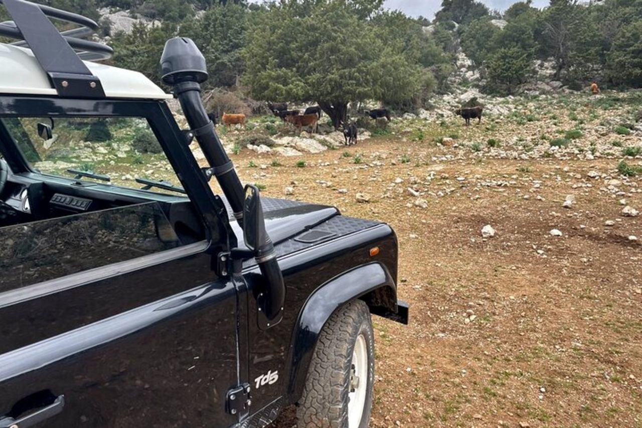 Tour enogastronomico e dell'artigianato di Dorgali da Cala Ganone — 9