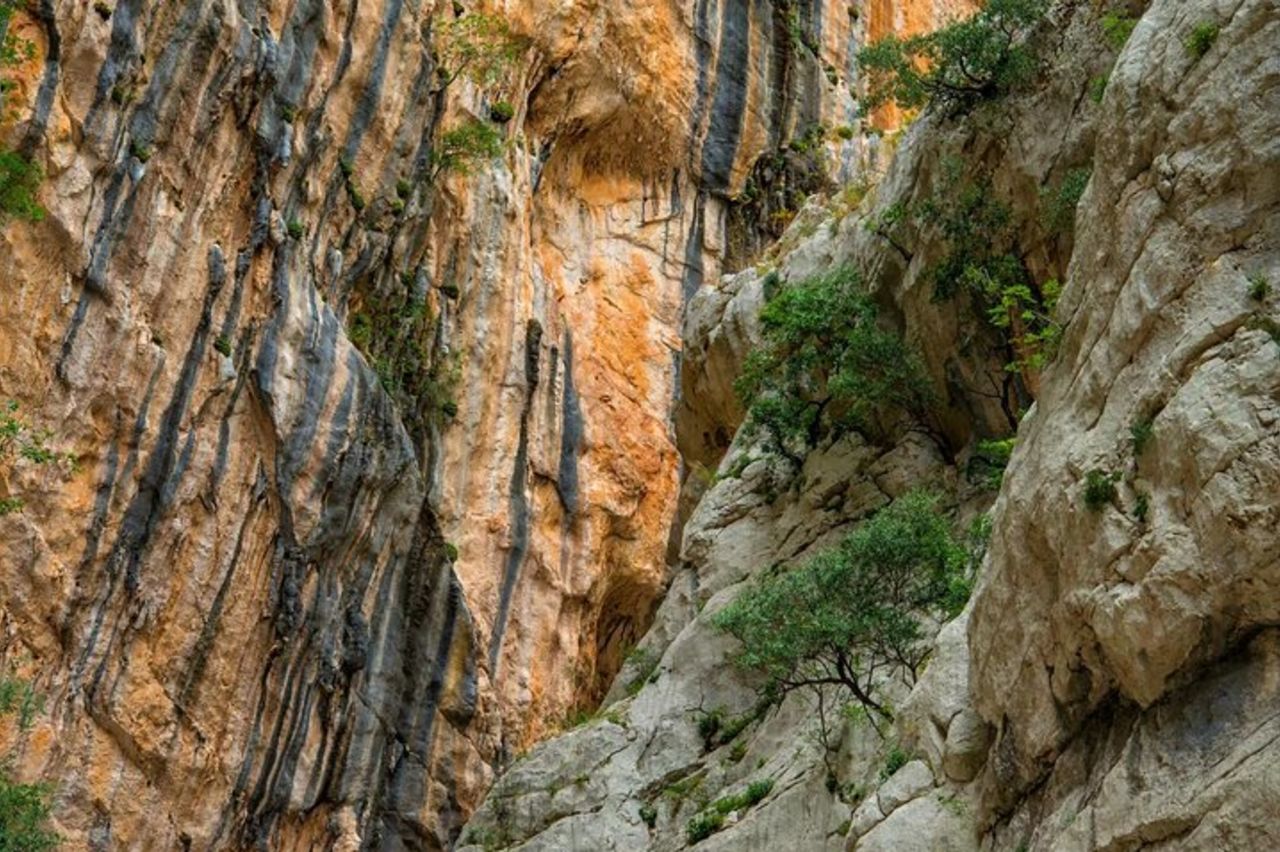 Escursione di trekking al Gorropu Canyon con pranzo — 7