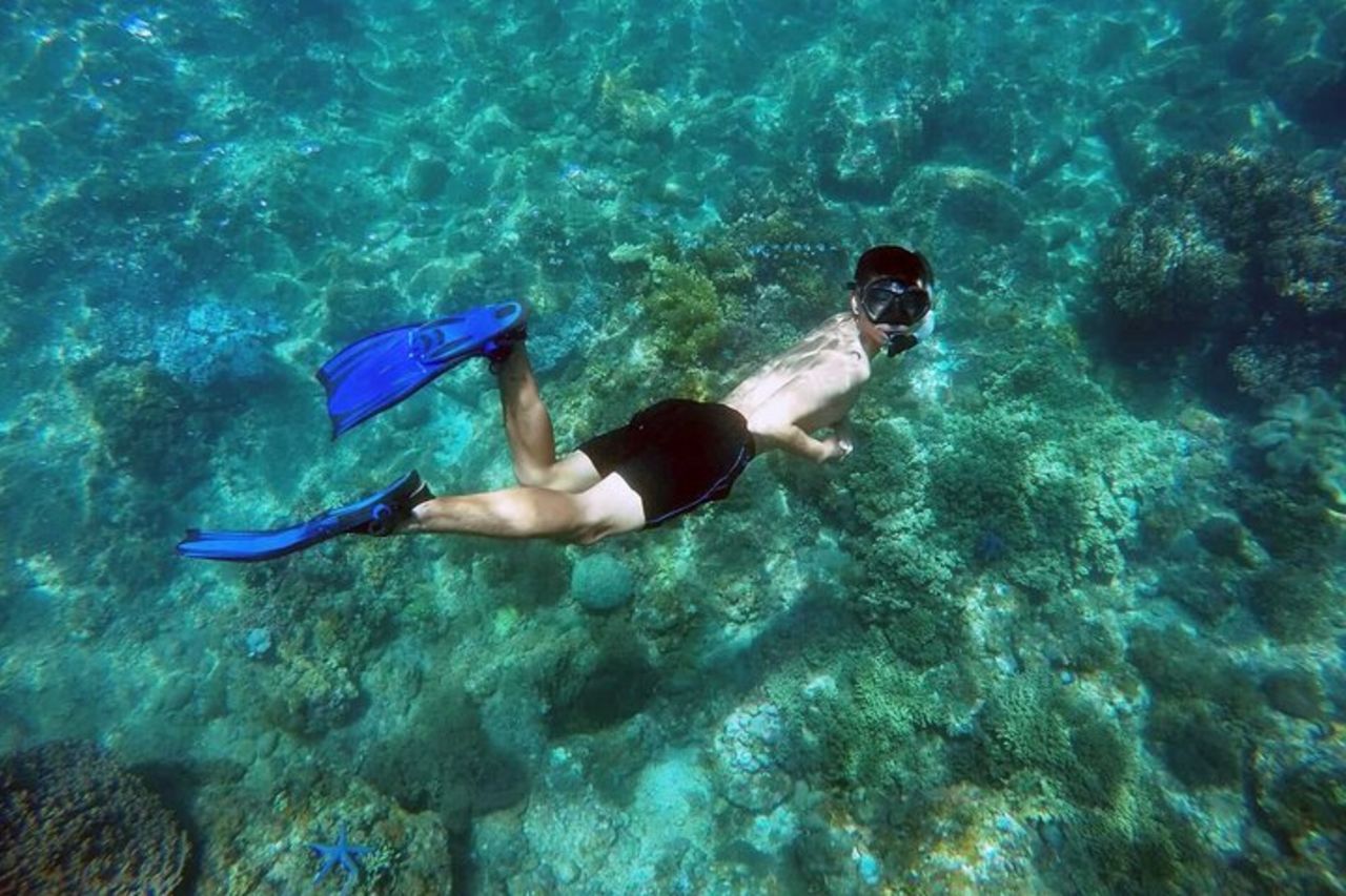 Gita di un giorno con snorkeling all'isola di Cham da Hoi An o Da Nang — 4