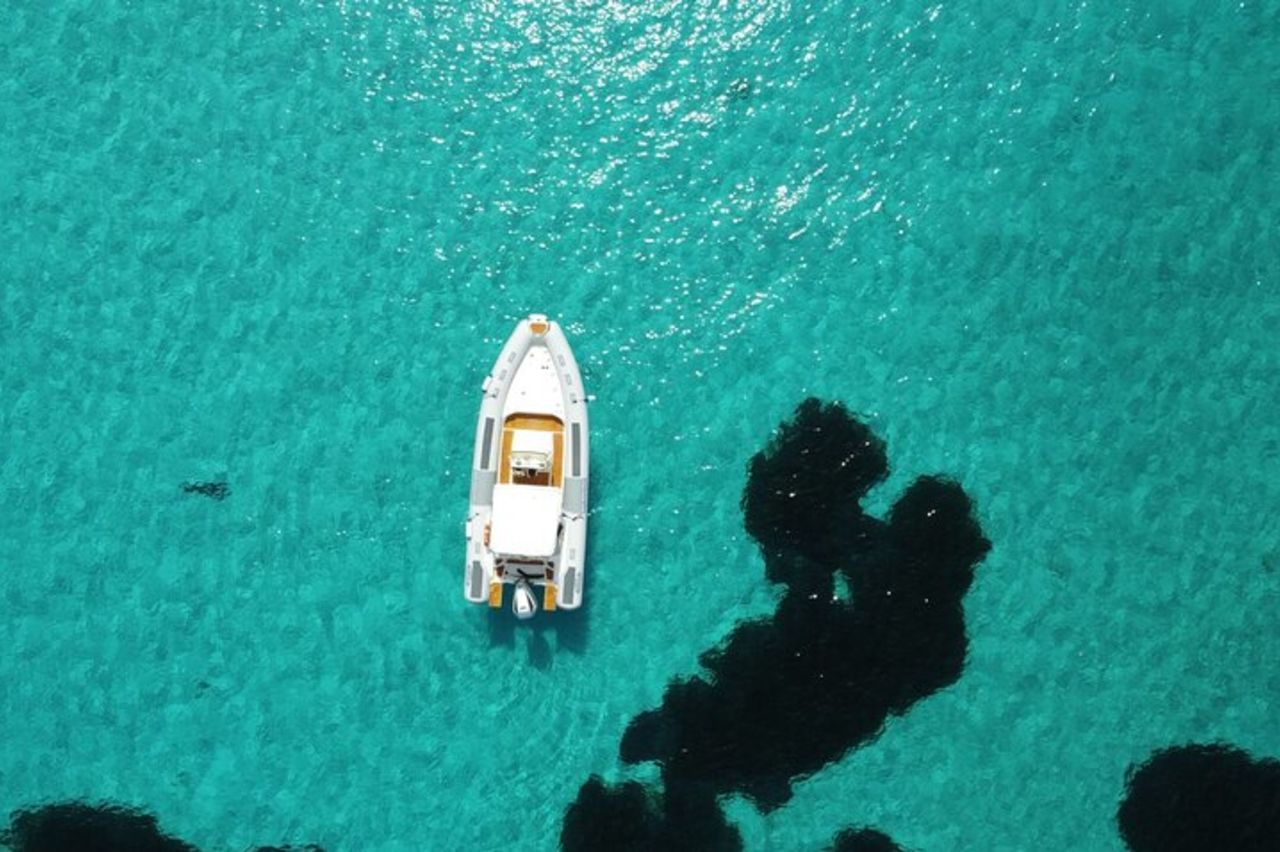 Da Stintino: Tour in gommone nel golfo dell'Asinara — 9