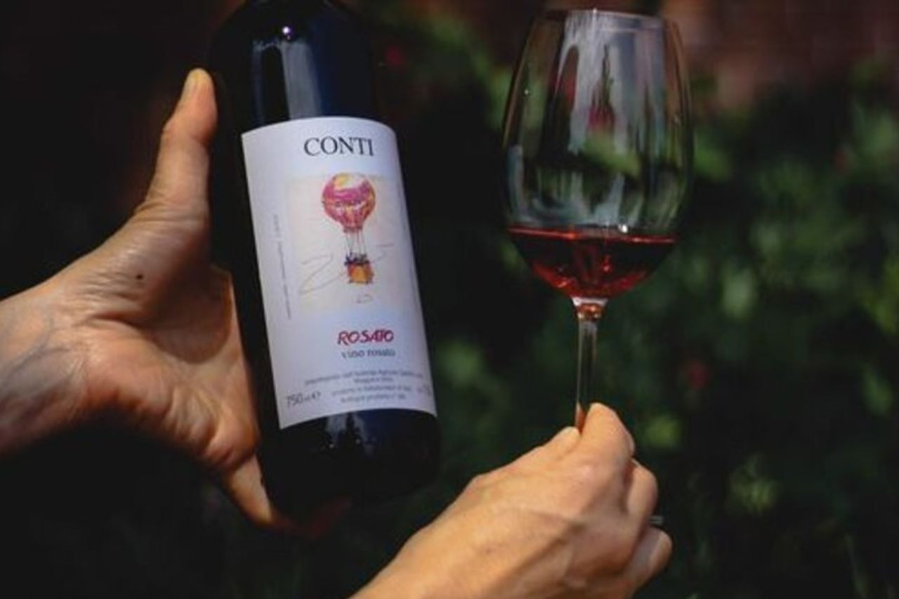 Visita e degustazione di vini del castello vicino al Lago Maggiore — 2