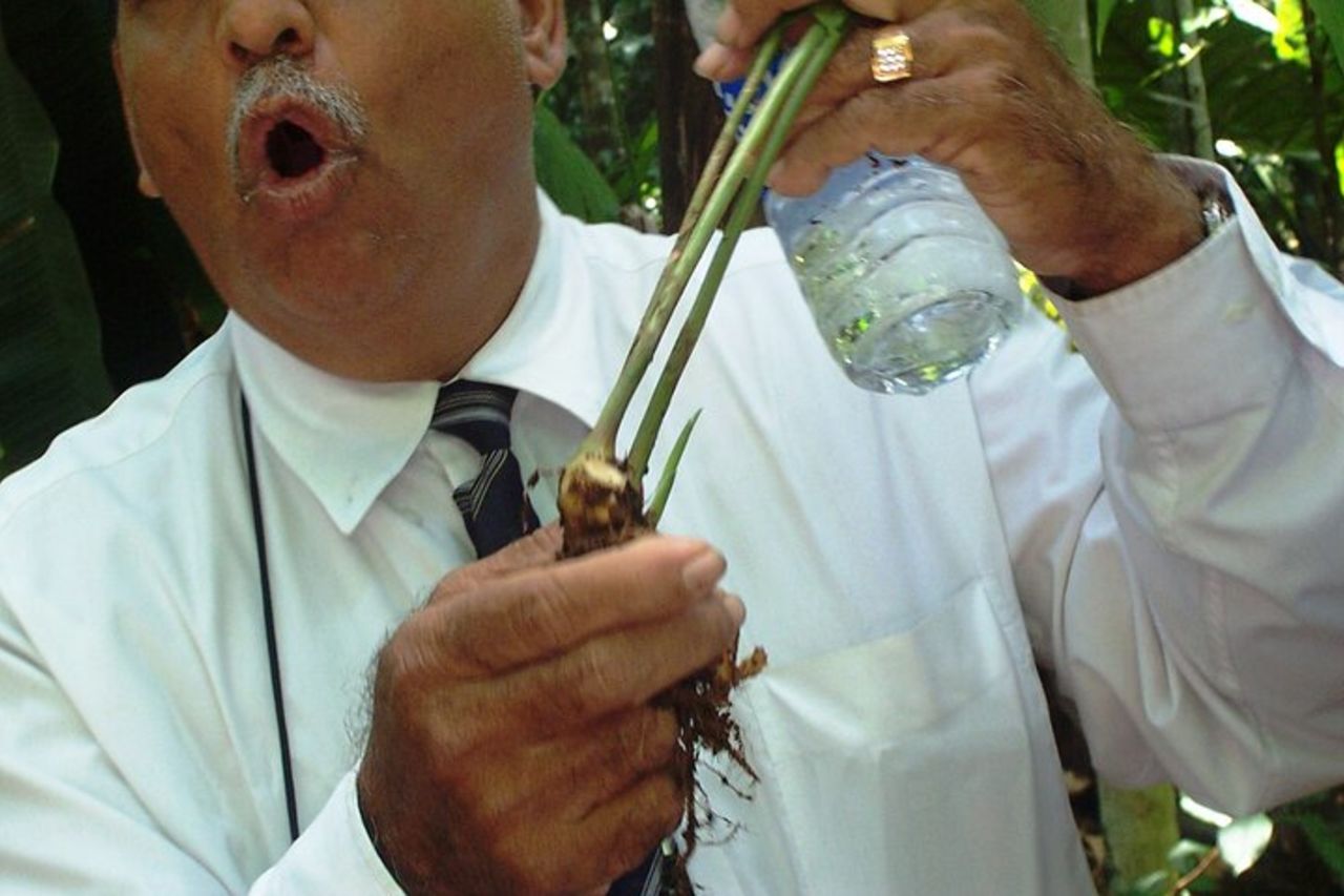 Antiche chiese, templi e piantagioni di spezie di Goa con pranzo "Goan". — 7