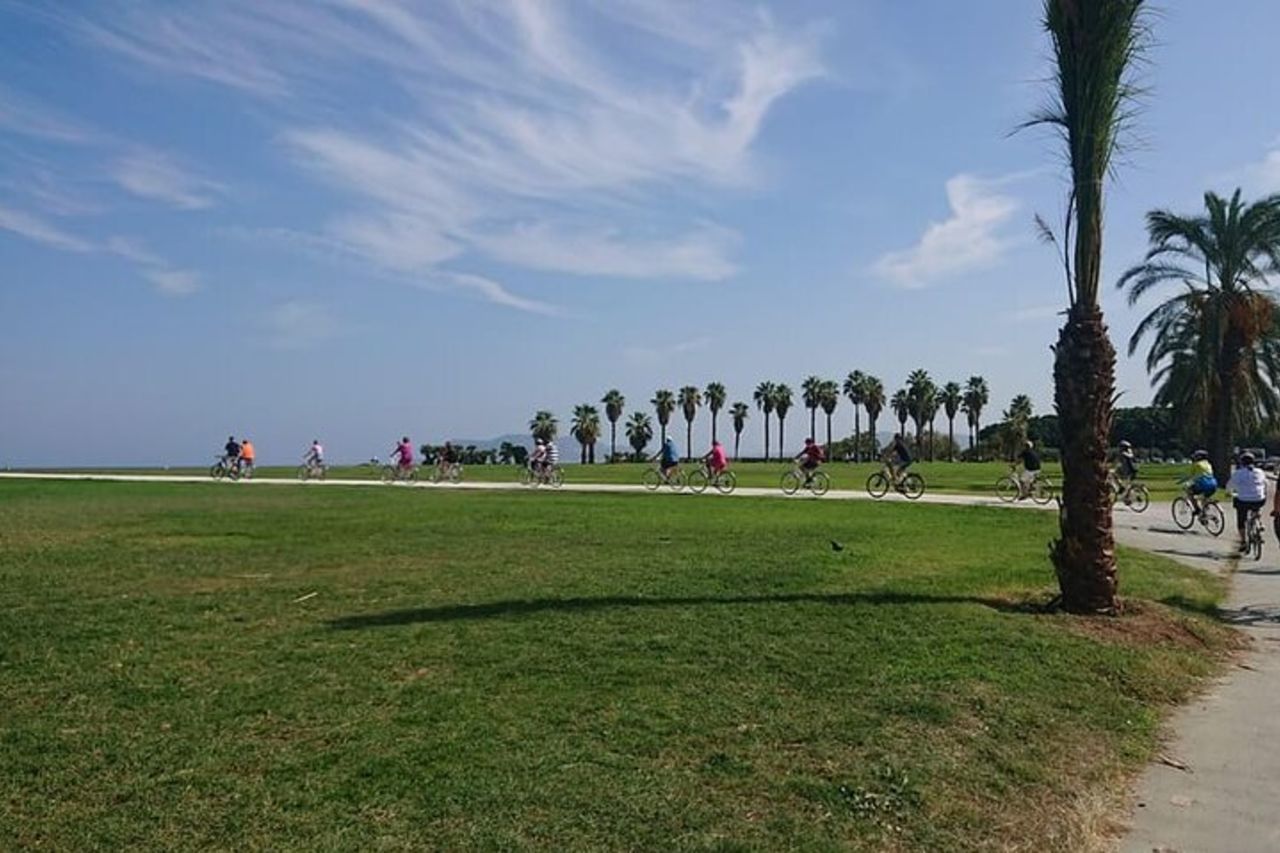 Tour in bici di Palermo nascosta con degustazione vino biologico — 6