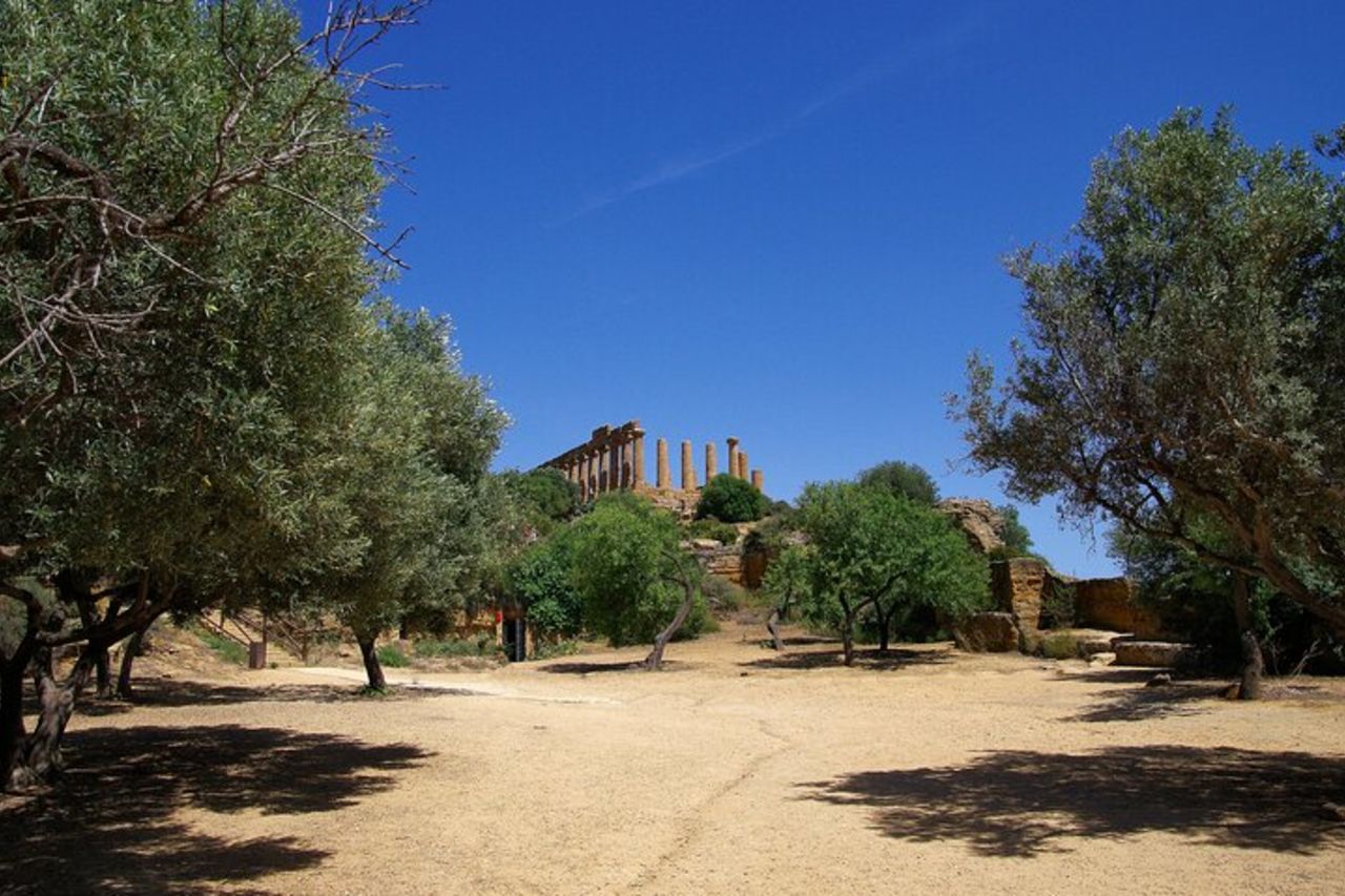 Agrigento Valle dei Templi Tour guidato archeologico privato — 8