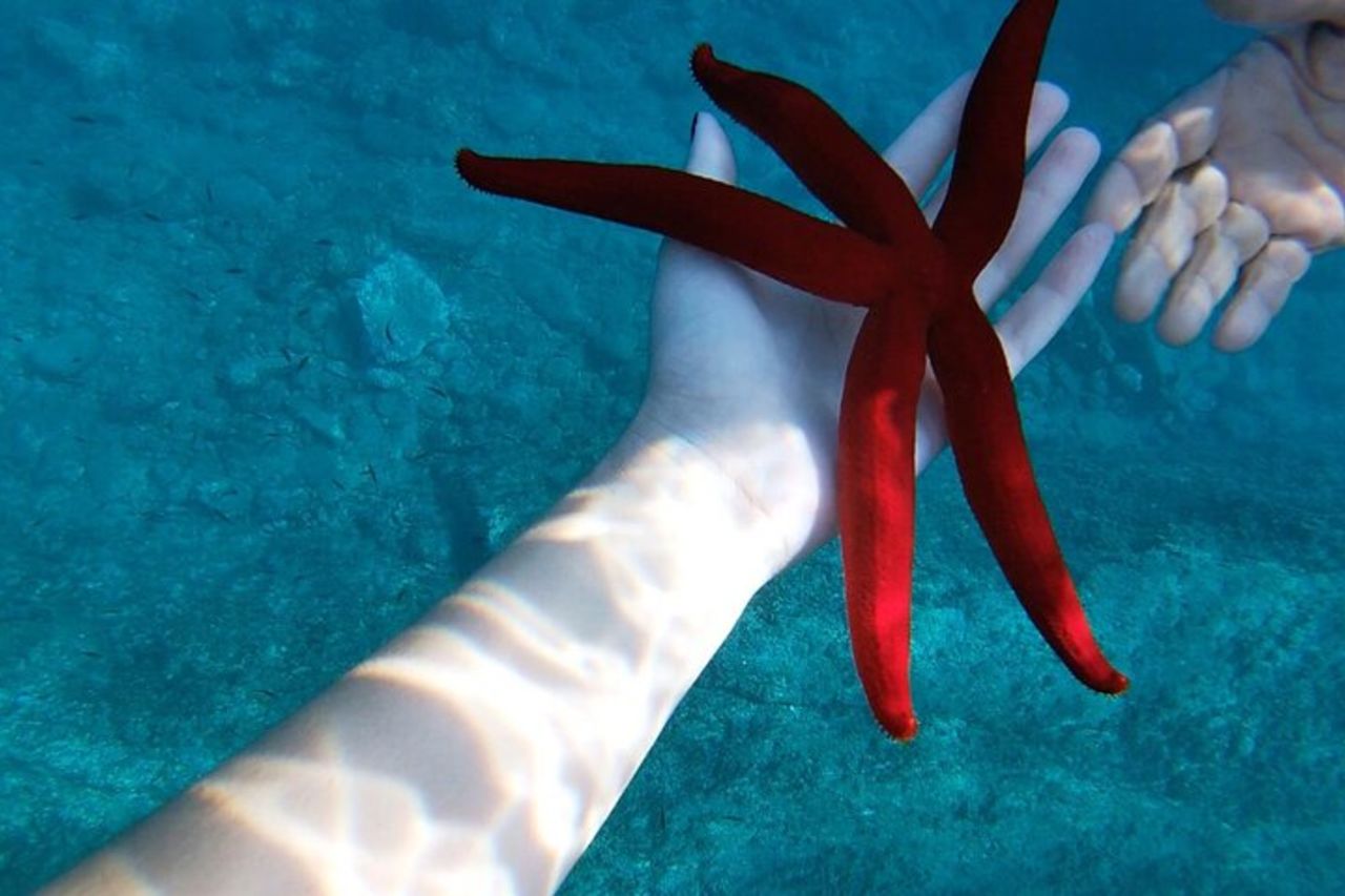 Tour alla Baia di Taormina, Isola Bella e Naxos — 2