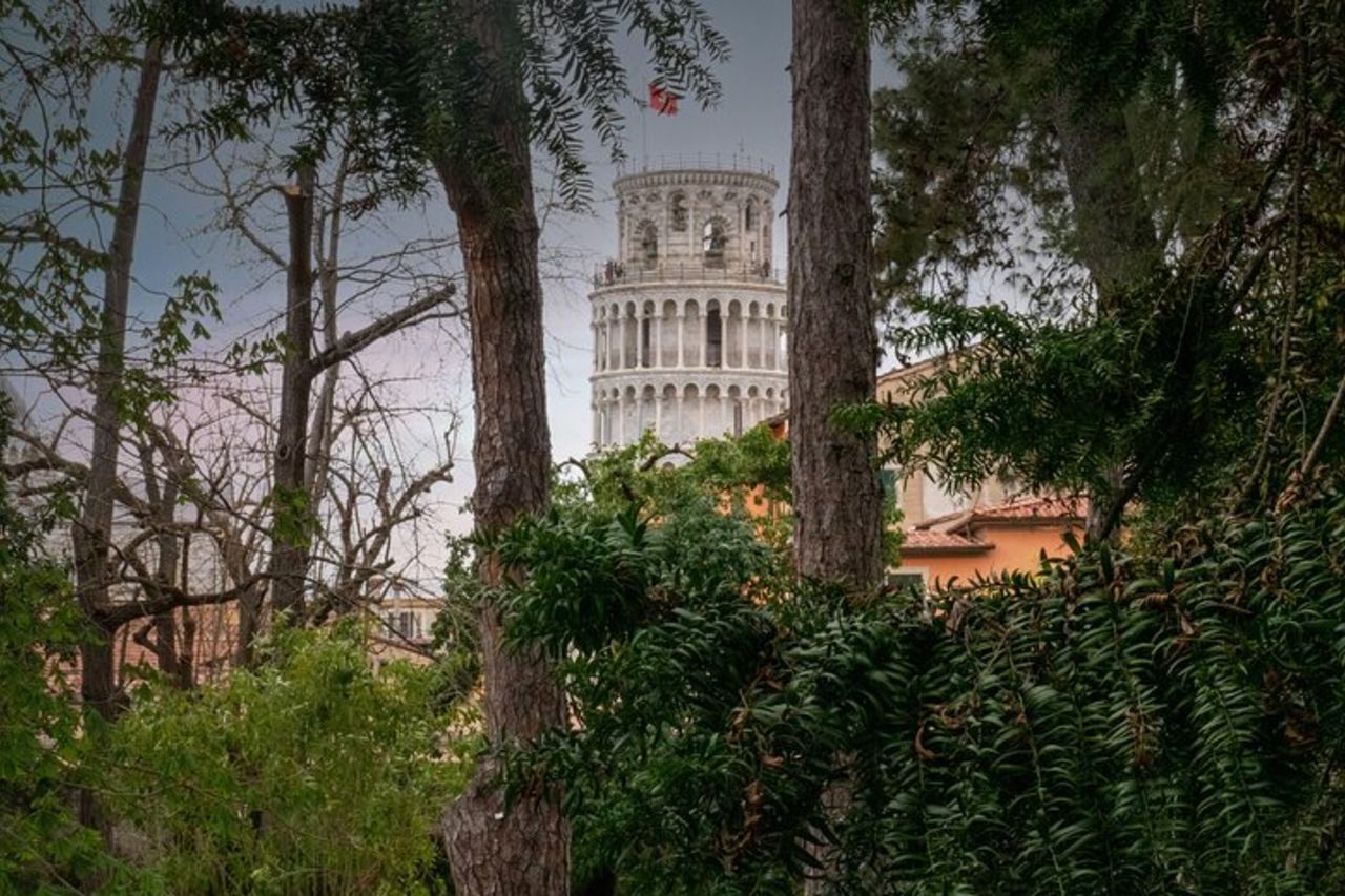 Torre di Pisa, Cattedrale, Battistero Biglietti d'ingresso a tempo — 3