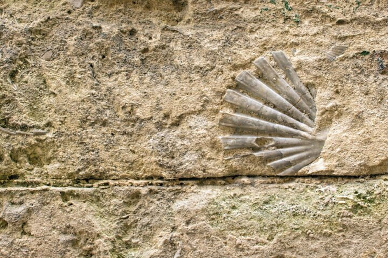 Tour a piedi di Matera con audioguida e guida scritta da un locale — 7