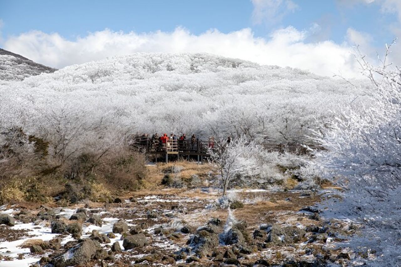 Jeju WEST&SOUTH Tour di un giorno con MT.halla e UNESCO — 7