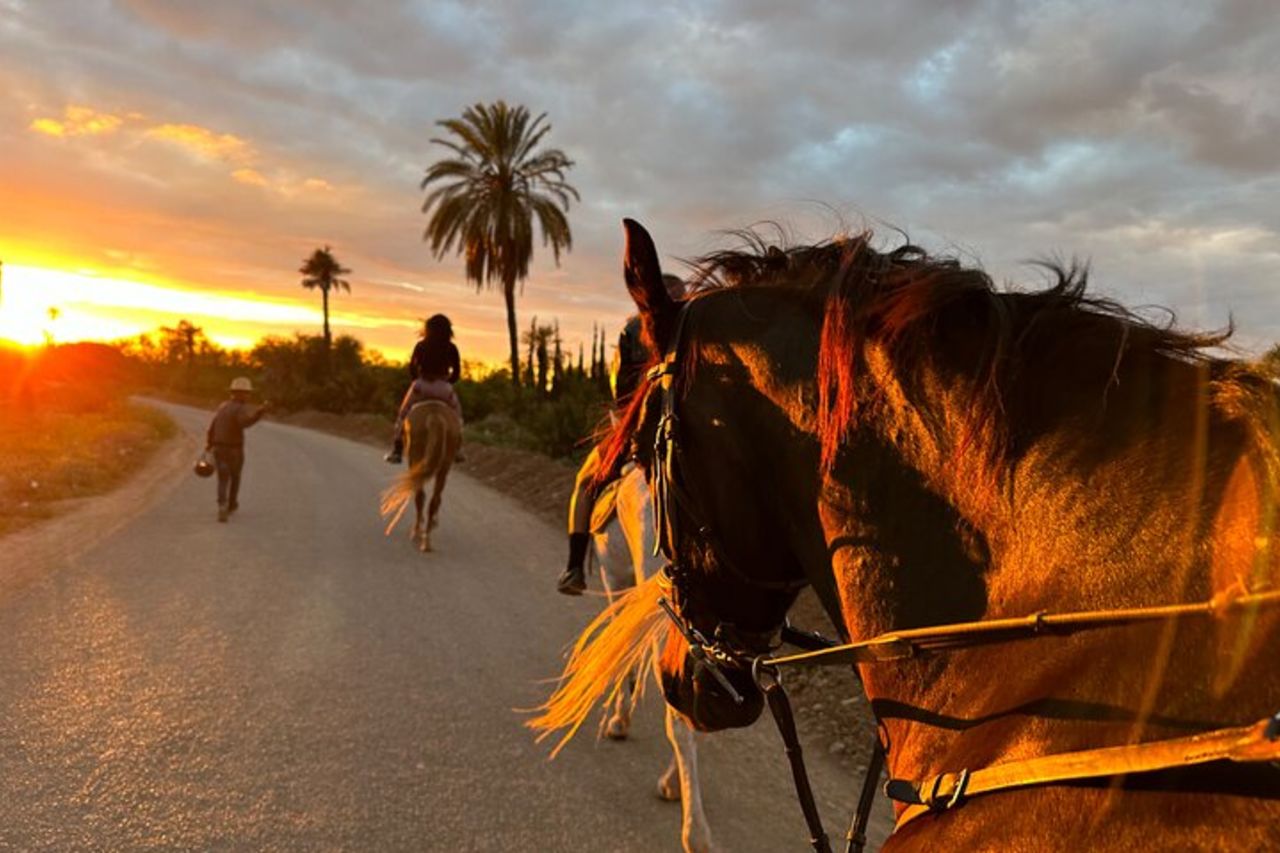 Marrakech : Balade à cheval Privée à la Palmeraie de Marrakech — 6
