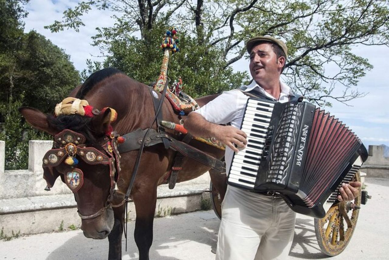 Gita di un giorno a Erice, Scopello, Castellammare, Riserva delle Saline — 6