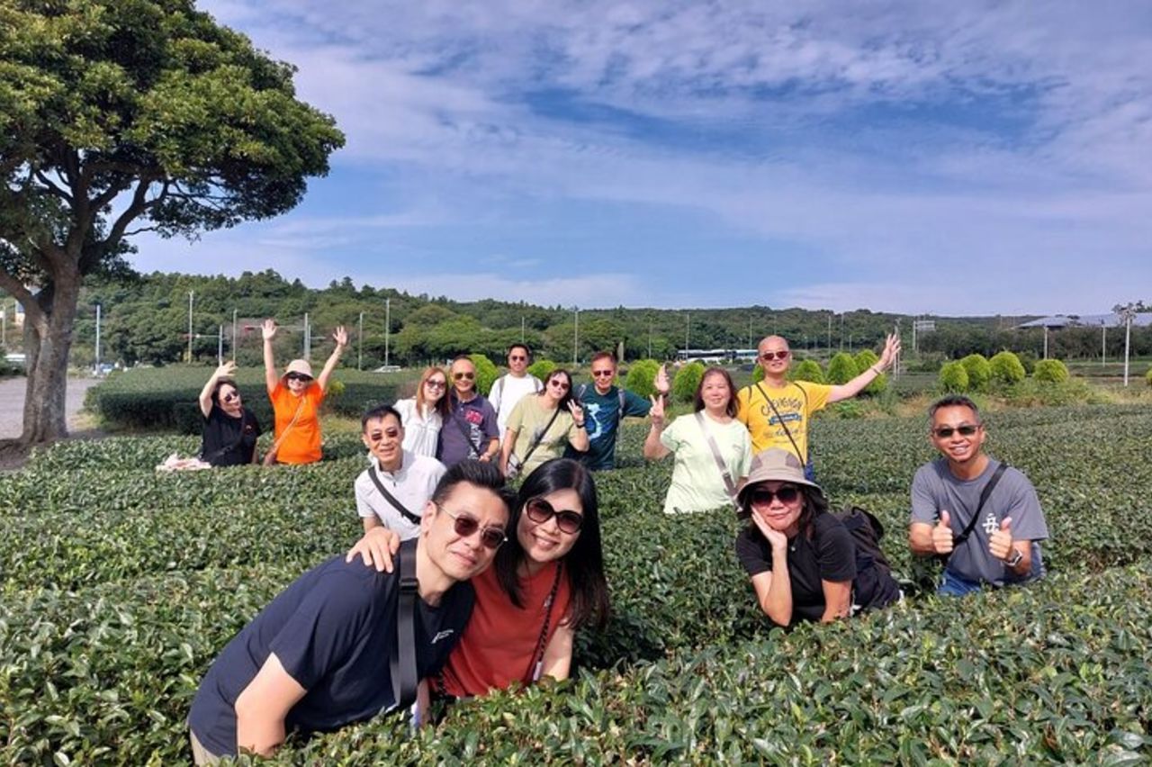 Jeju personalizza il tour privato in VAN di est o ovest o sud (~8pax) — 8