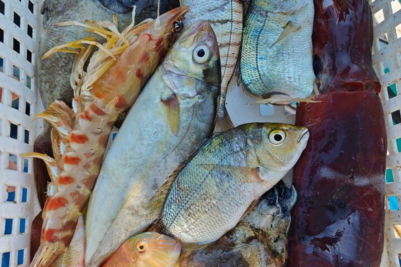 Cefalù: Gita in Barca con Pesca, Tour Costiero e Pranzo a Bordo — 4