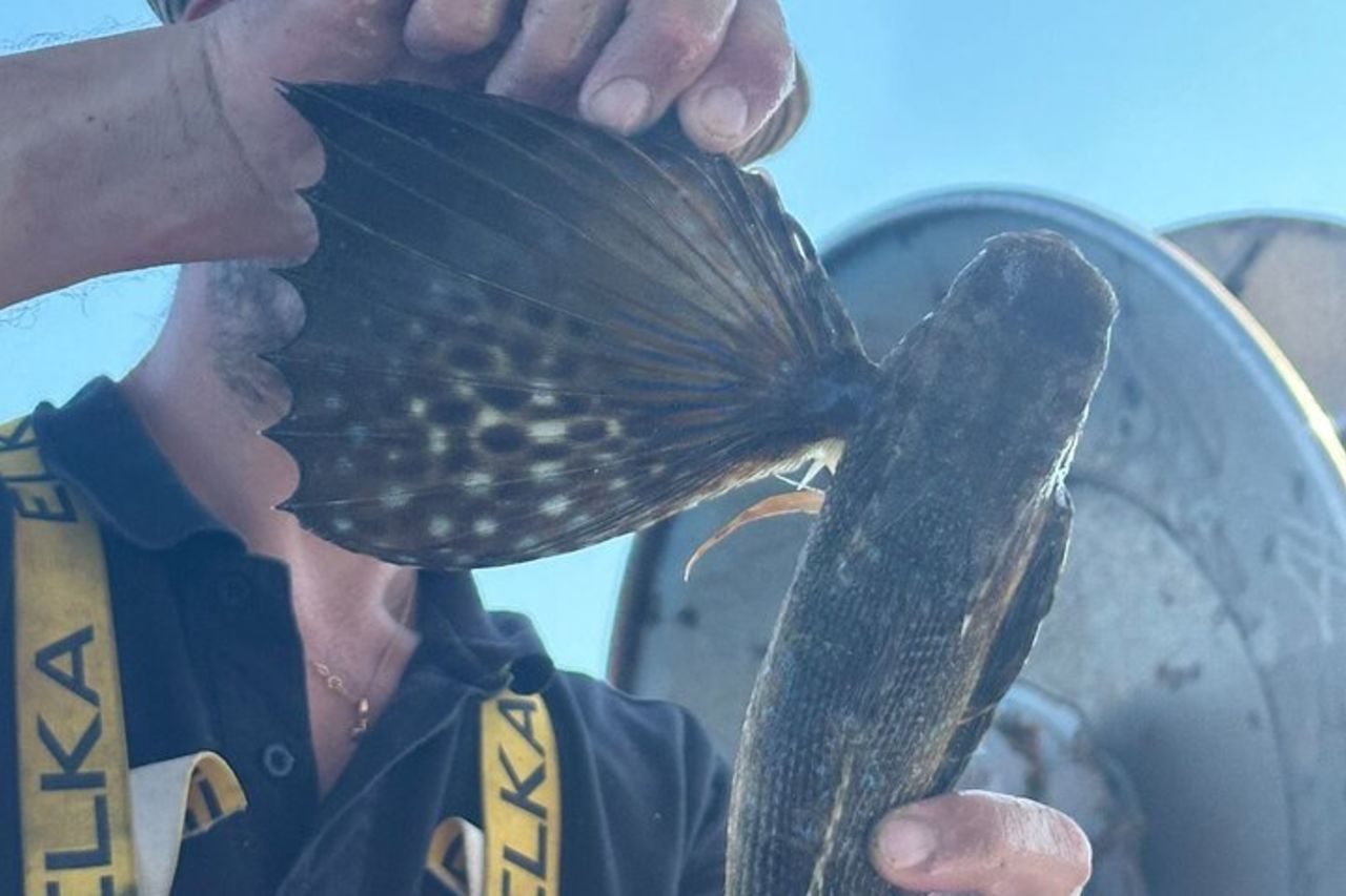 Cefalù: Gita in Barca con Pesca, Tour Costiero e Pranzo a Bordo — 9