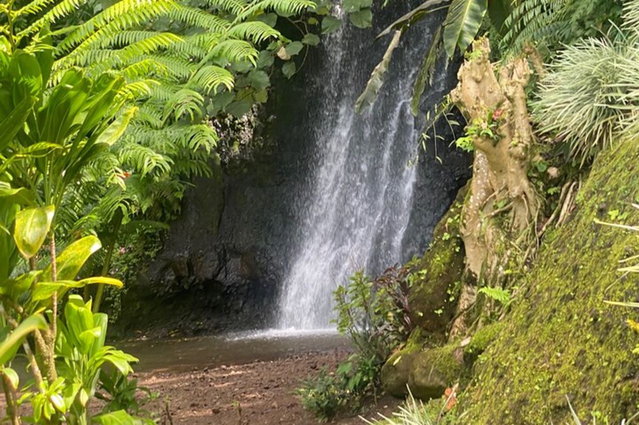 Alla scoperta dell'isola di Tahiti Nui