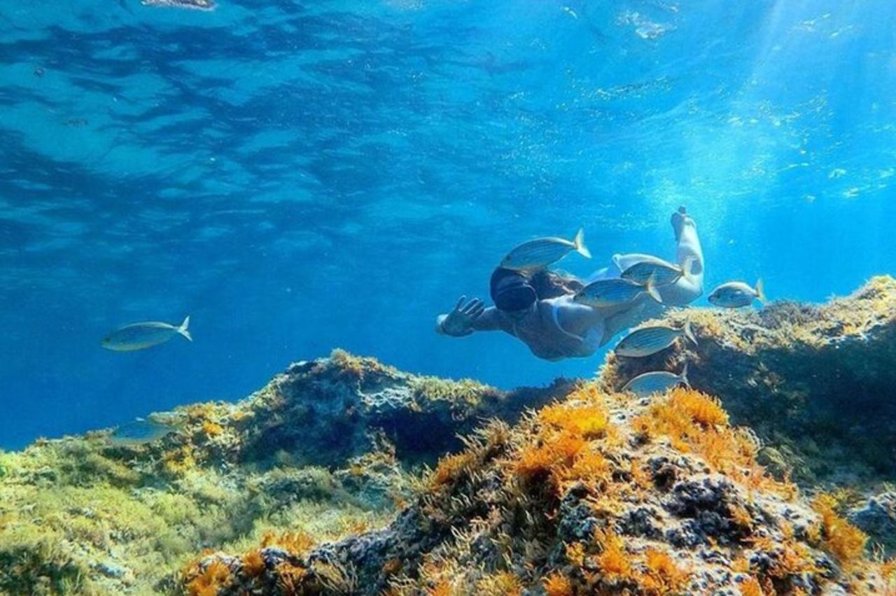 Mezza Giornata Cala Gonone Snorkeling nel Golfo di Orosei