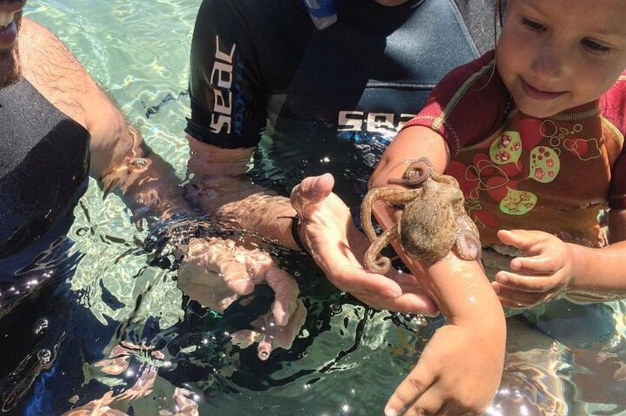 Mezza Giornata Cala Gonone Snorkeling nel Golfo di Orosei — 2