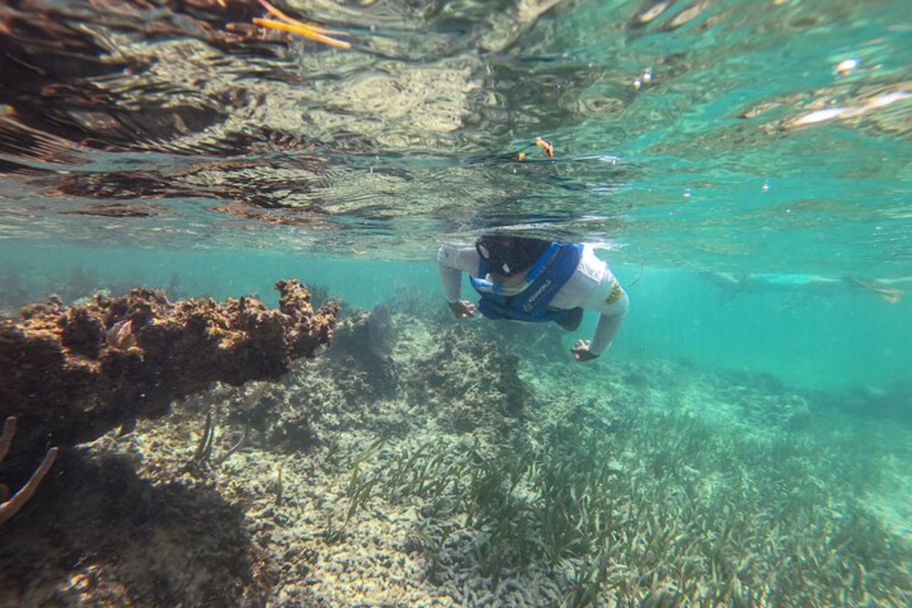 Tour della giungla con snorkeling a Cancun — 6