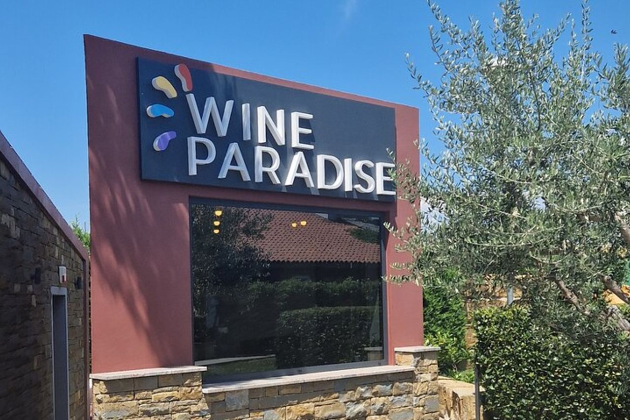 Scopri la linea costiera slovena con degustazione di vini da Trieste — 9