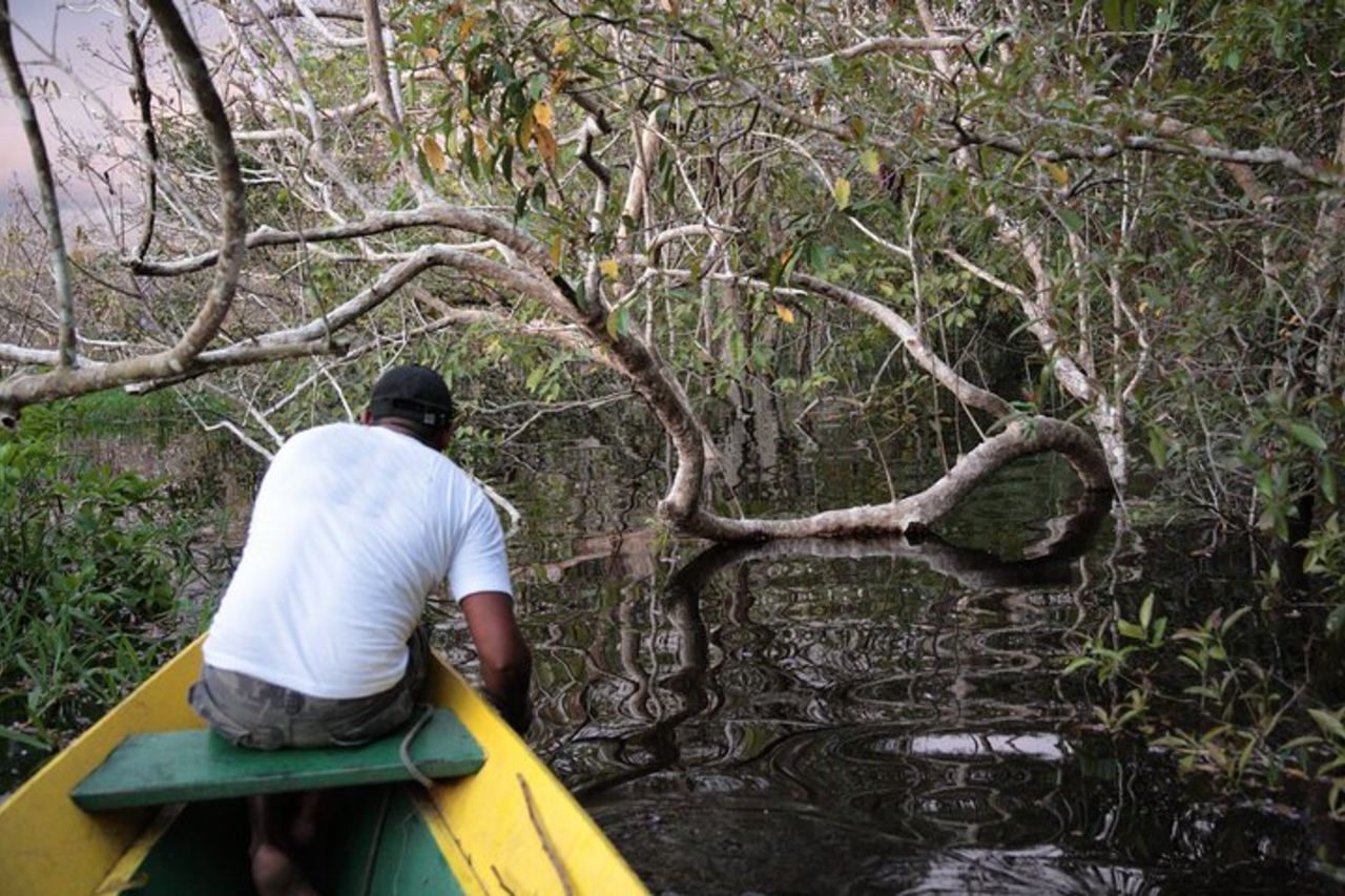 Campeggio nella giungla di 4 giorni da Iquitos — 2
