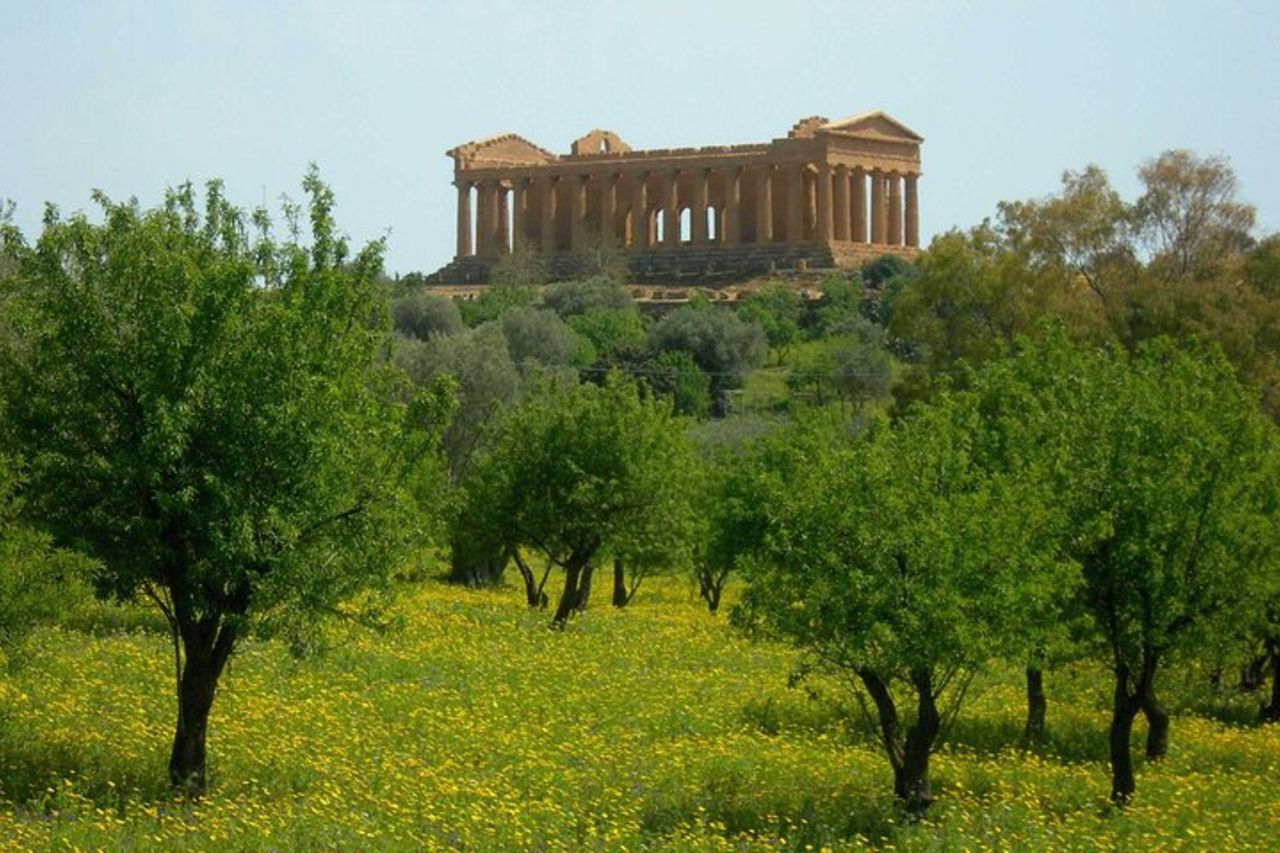 Biglietto d'ingresso alla zona archeologica della Valle dei Templi — 4