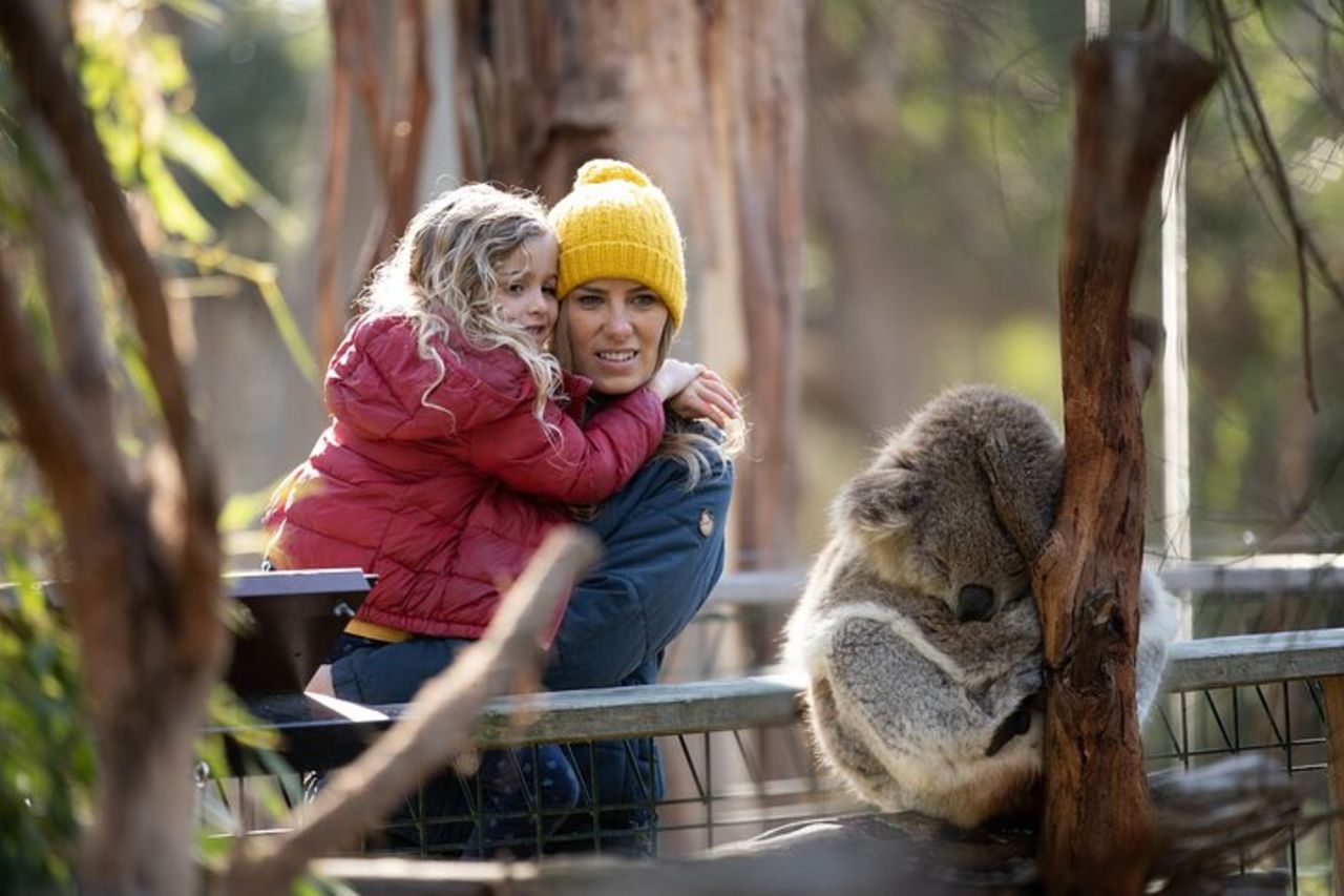 Punti salienti della gita di un giorno a Phillip Island con pinguini e koala da Melbourne — 3