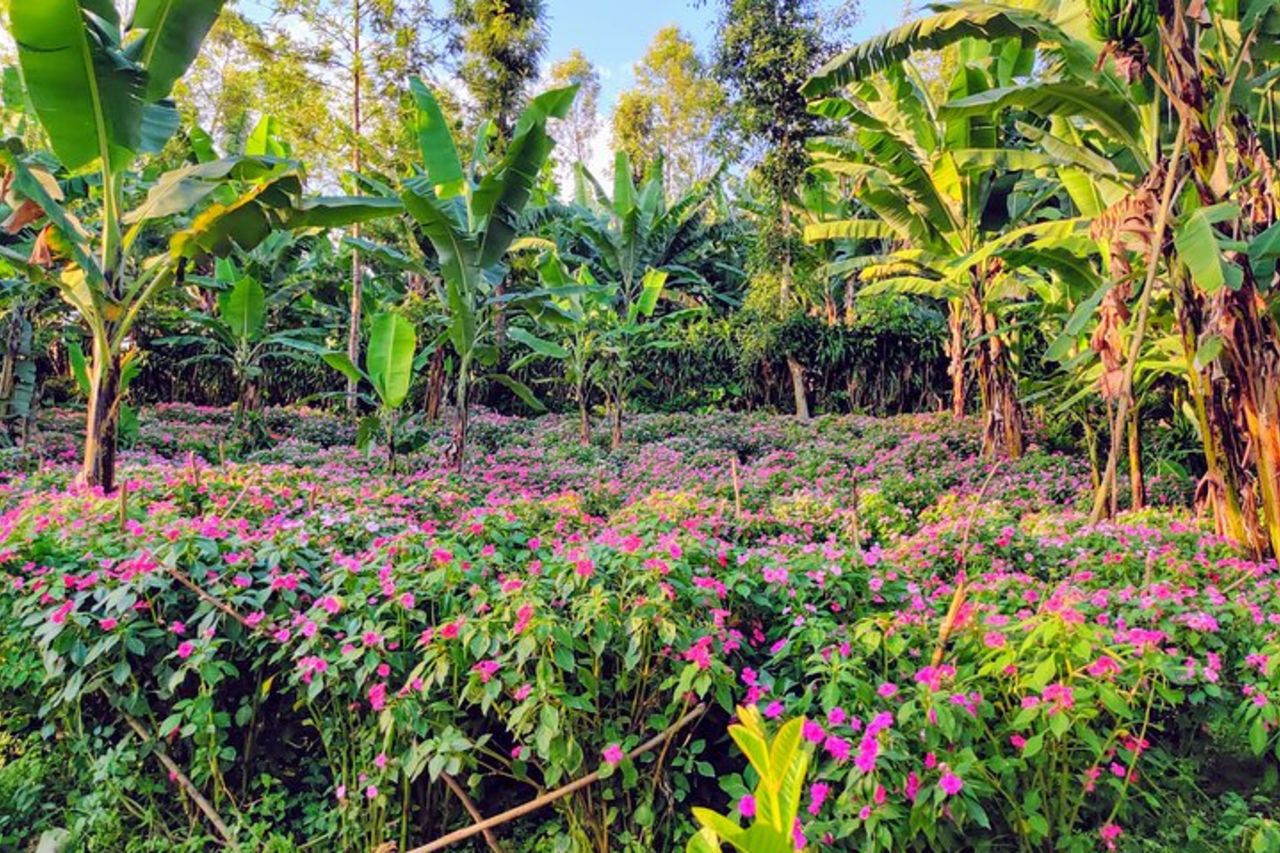 Cascata nascosta di Arusha, villaggio e tour del caffè (tutto incluso) — 6