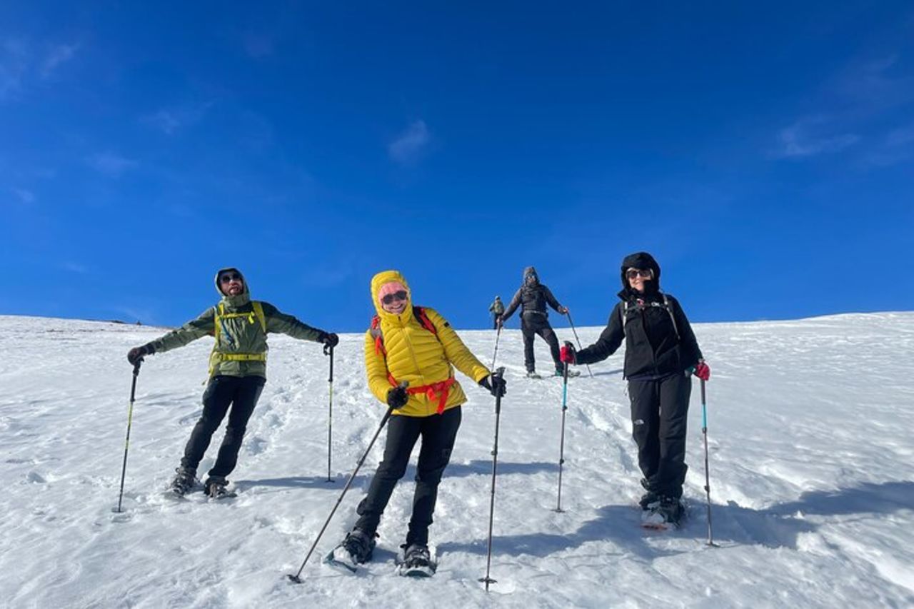 Ciaspolata giornaliera nelle Dolomiti con guida da Belluno — 4