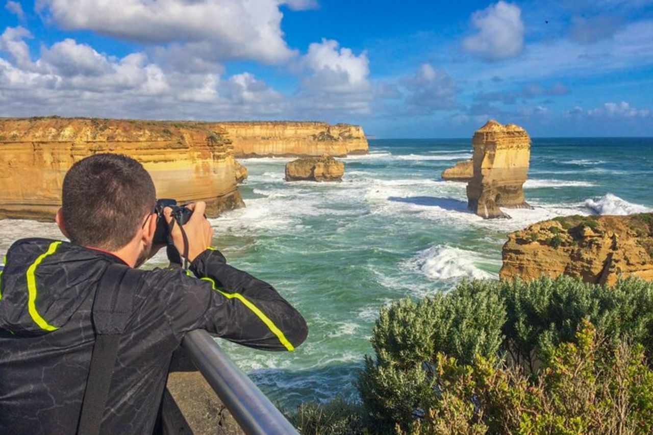 Tour ecologico per piccoli gruppi di Great Ocean Road da Melbourne — 4
