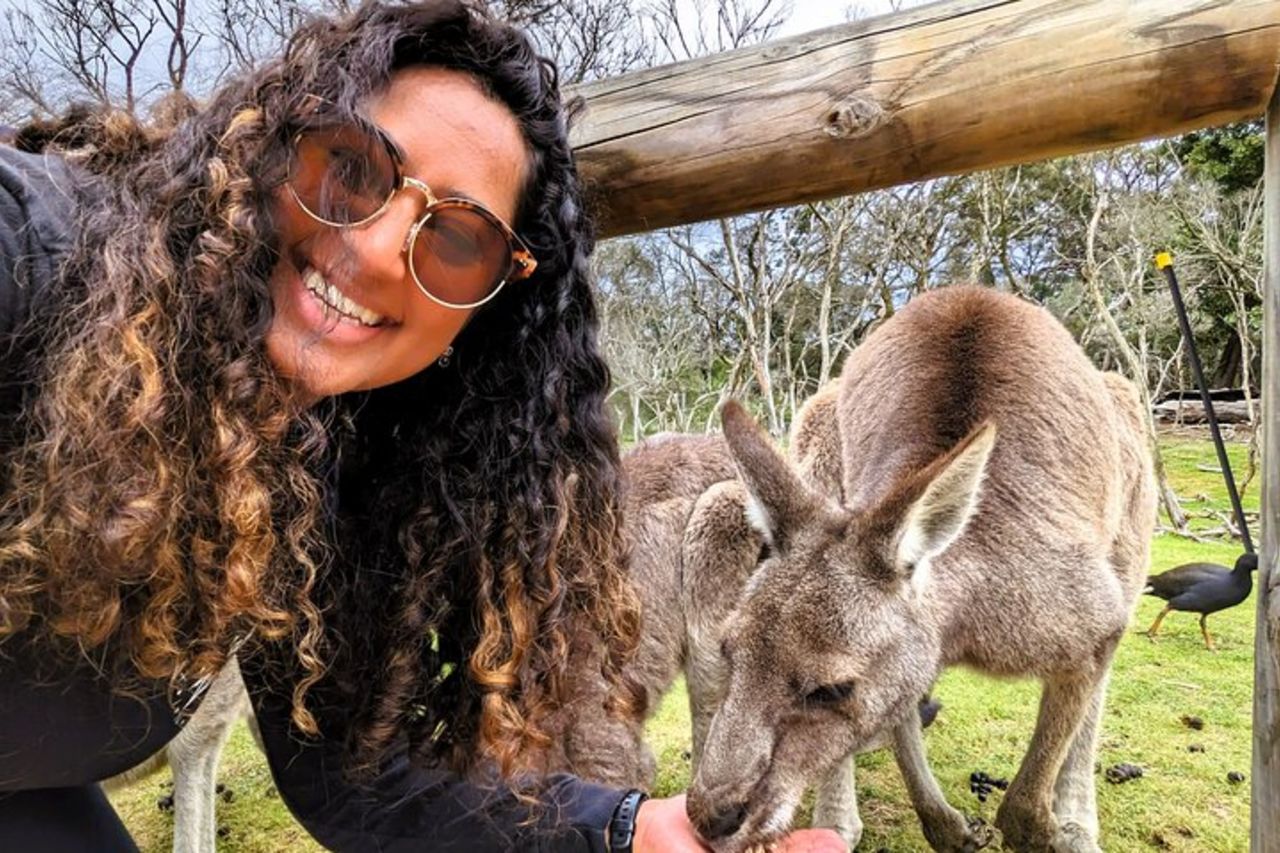 Parata di pinguini, e la fauna selvatica incontra Eco Tour da Melbourne — 7