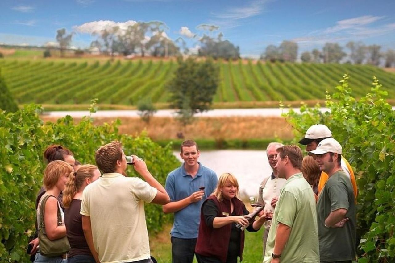 Yarra Valley Wine & Winery Tour da Melbourne - All Inclusive! — 2