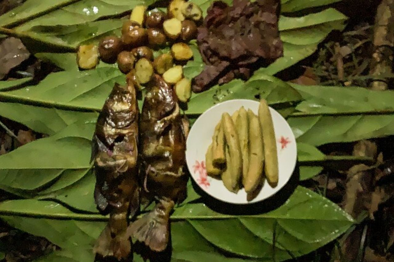 Campeggio nella giungla di 4 giorni da Iquitos — 8