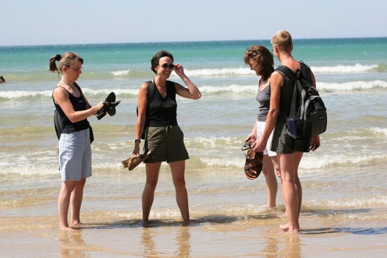 Tour ecologico di un giorno al tramonto di Great Ocean Road da Melbourne — 7