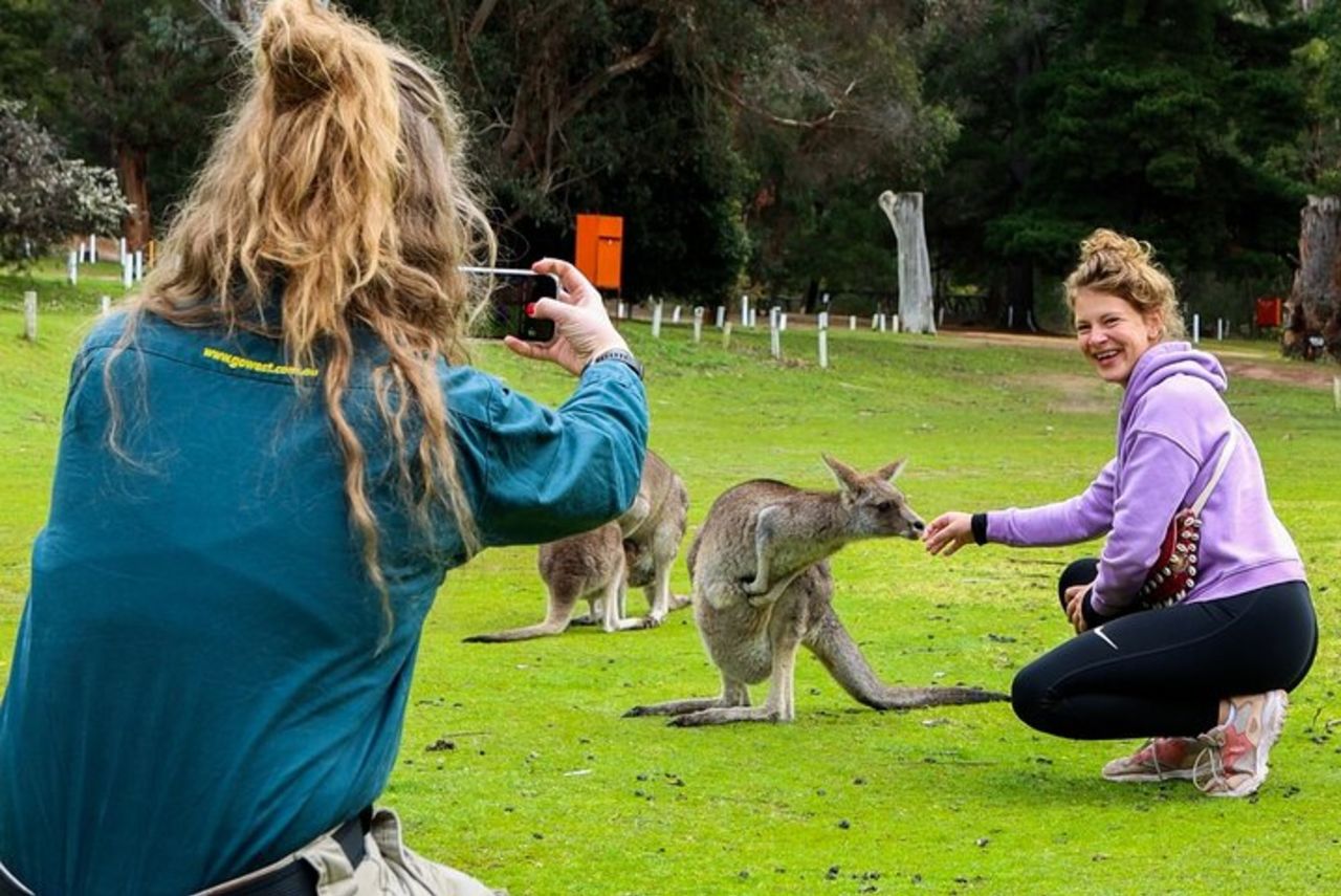 Tour ecologico per piccoli gruppi del Grampians National Park da Melbourne — 9