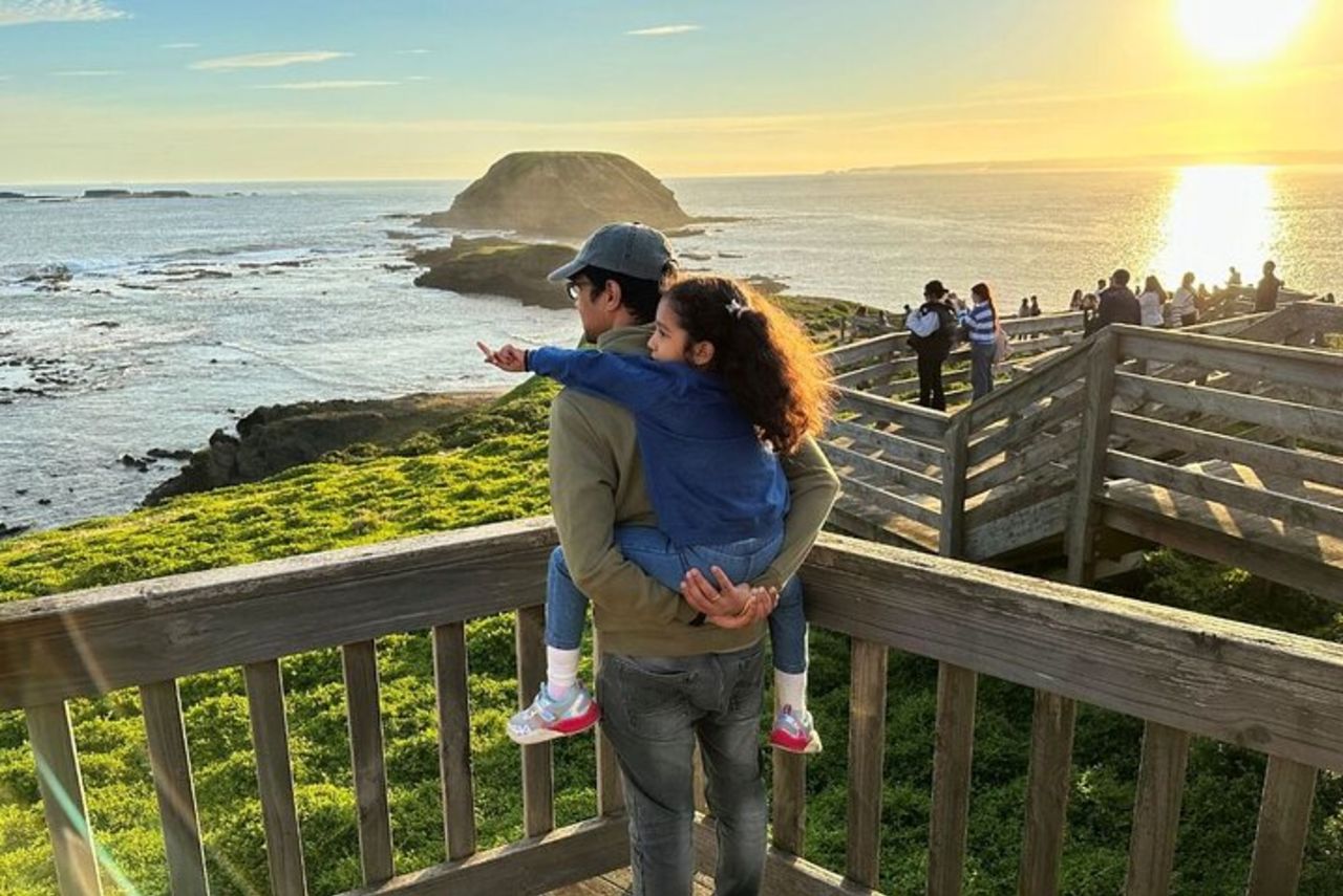 Tour ecologico pomeridiano di Phillip Island e Penguin Parade da Melbourne — 4