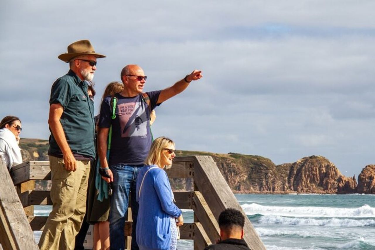 Tour ecologico pomeridiano di Phillip Island e Penguin Parade da Melbourne — 6