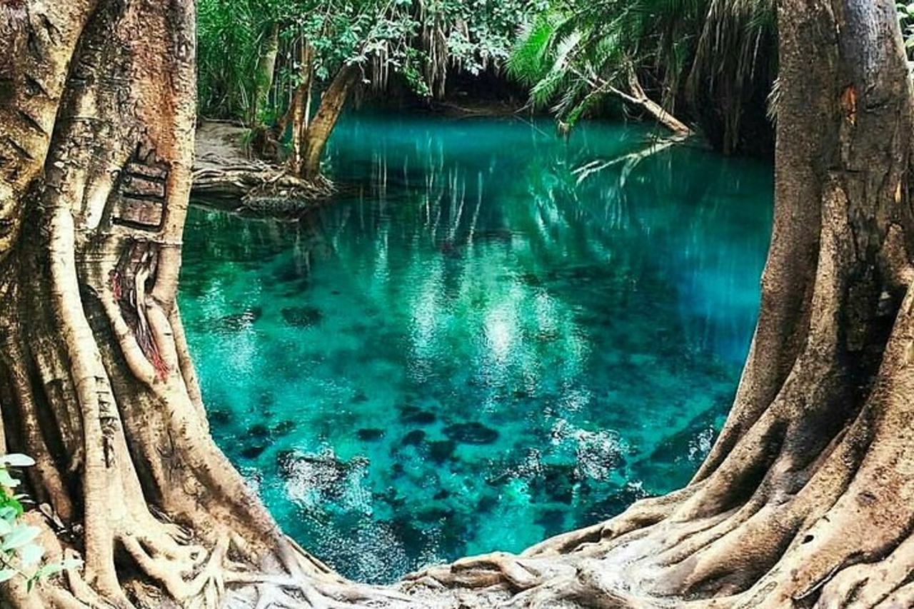 Cascata, tour del caffè e sorgenti termali - pranzo e bevande inclusi — 4