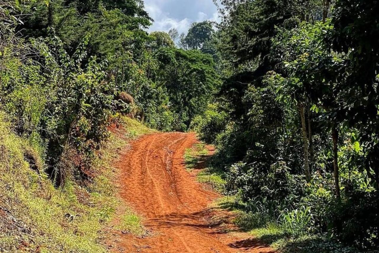 Cascata, tour del caffè e sorgenti termali - pranzo e bevande inclusi — 9