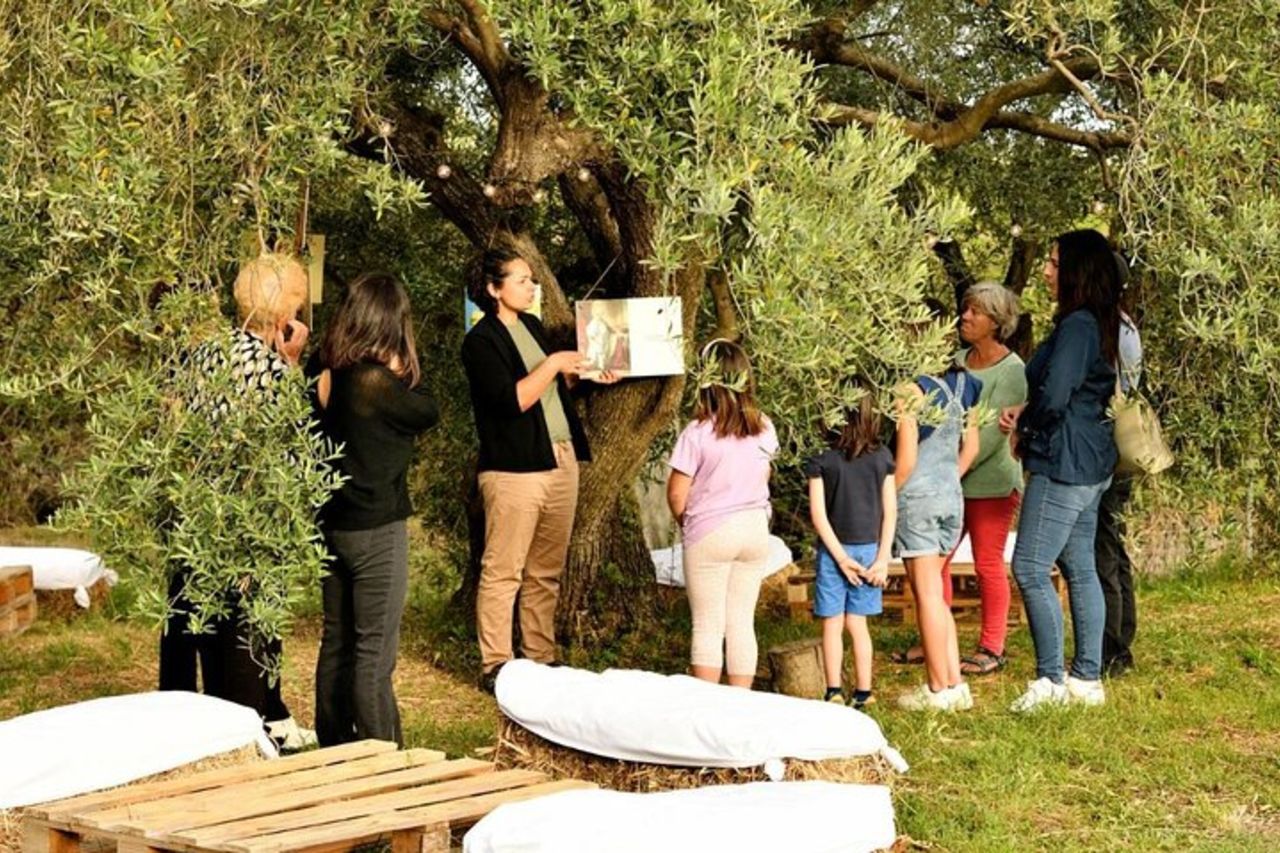 Tour del Frantoio di Tortolì con degustazione guidata di olio a Lotzorai — 8