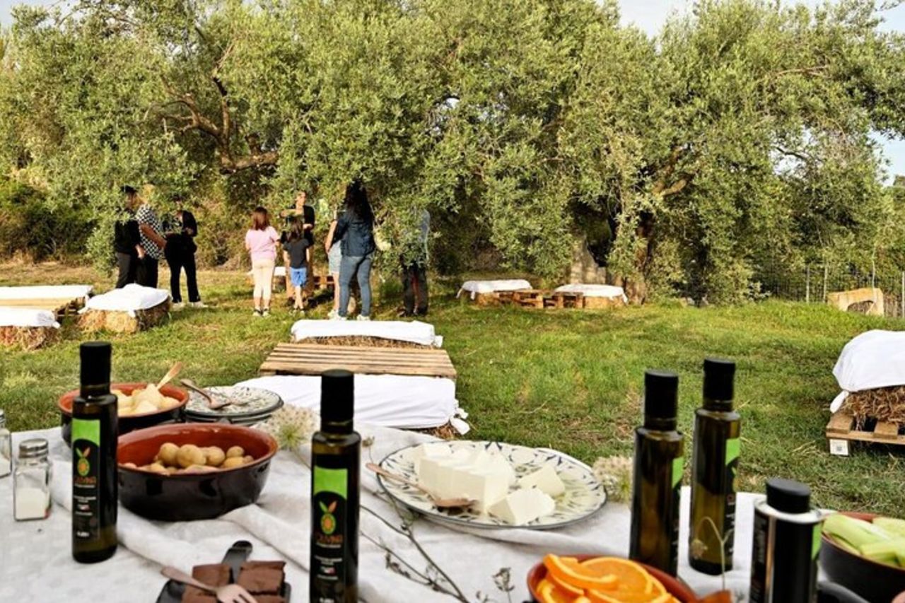 Tour del Frantoio di Tortolì con degustazione guidata di olio a Lotzorai — 6