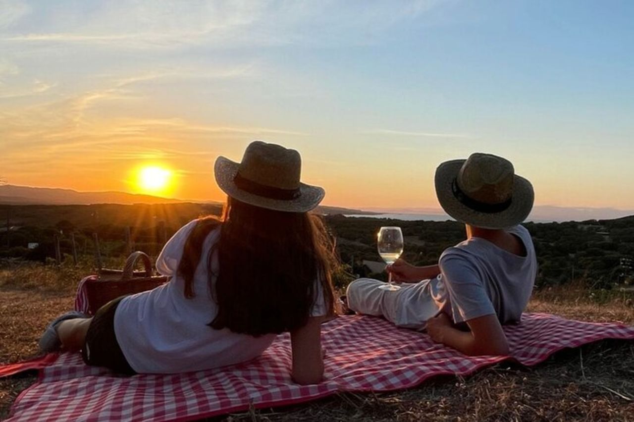 Palau Picnic per Piccoli Gruppi in Tenuta Gallura con Degustazione di Vini — 2