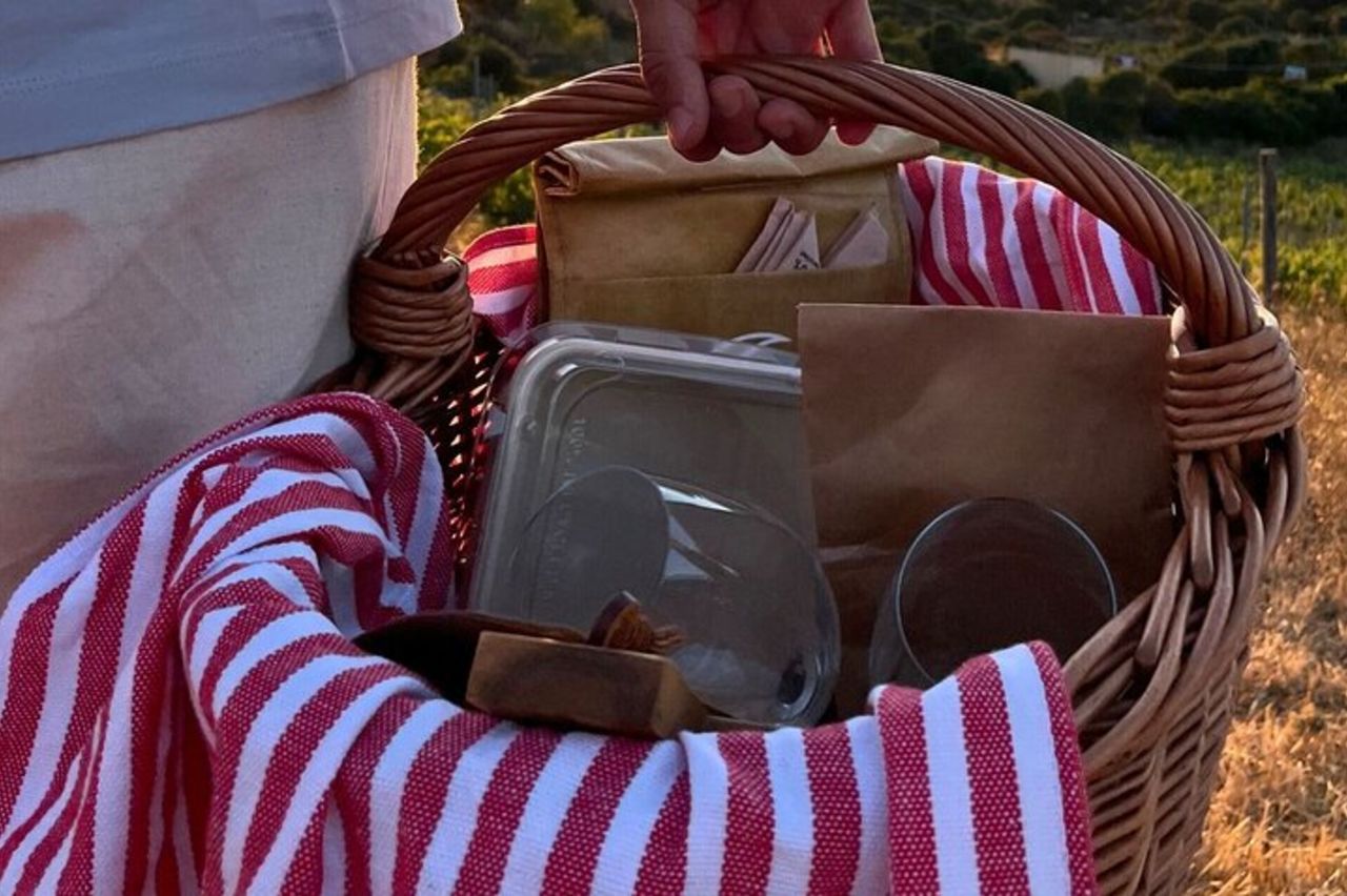 Palau Picnic per Piccoli Gruppi in Tenuta Gallura con Degustazione di Vini — 4