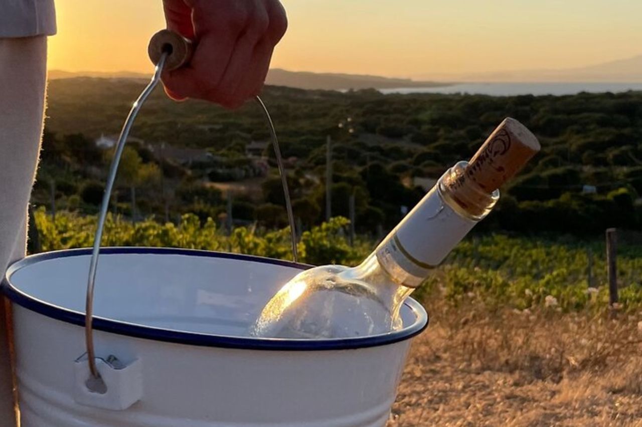 Palau Picnic per Piccoli Gruppi in Tenuta Gallura con Degustazione di Vini — 6