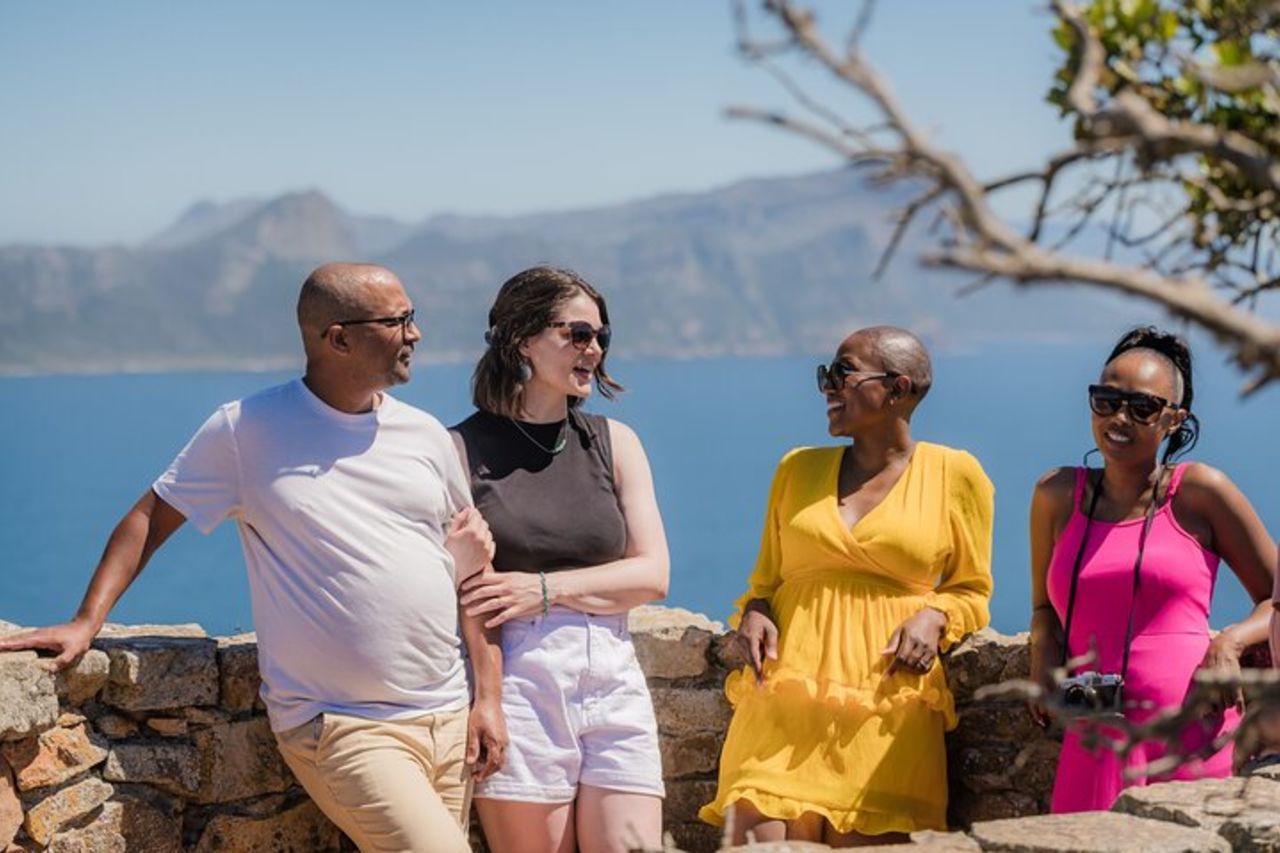 Tour di un'intera giornata a Cape Point e Boulder's Penguins — 4