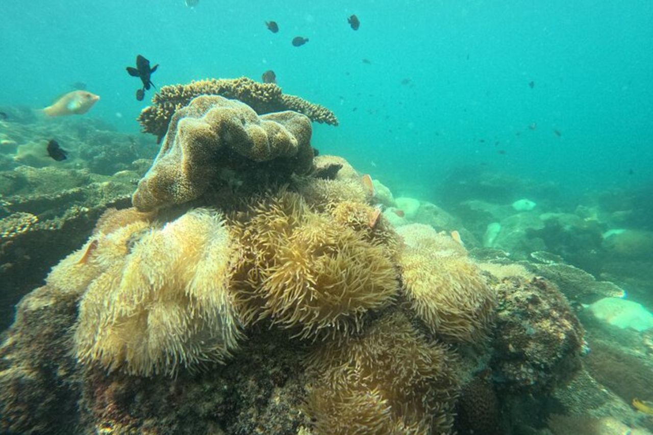 Phu Quoc: Snorkeling e Island Hopping in motoscafo con pranzo — 9