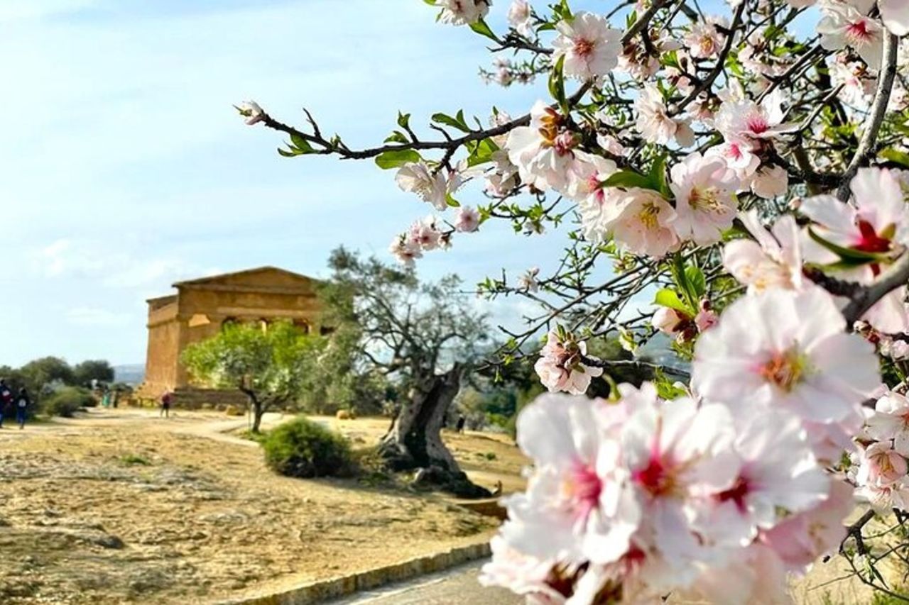 Pozzallo Agrigento e la Valle dei Templi