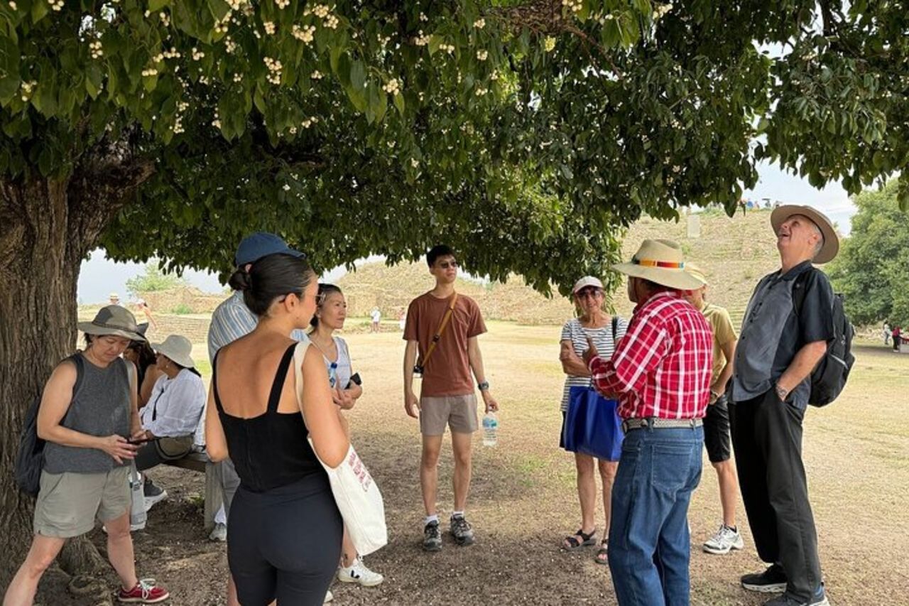Tour de medio dia a monte alban - idiomi separati — 3