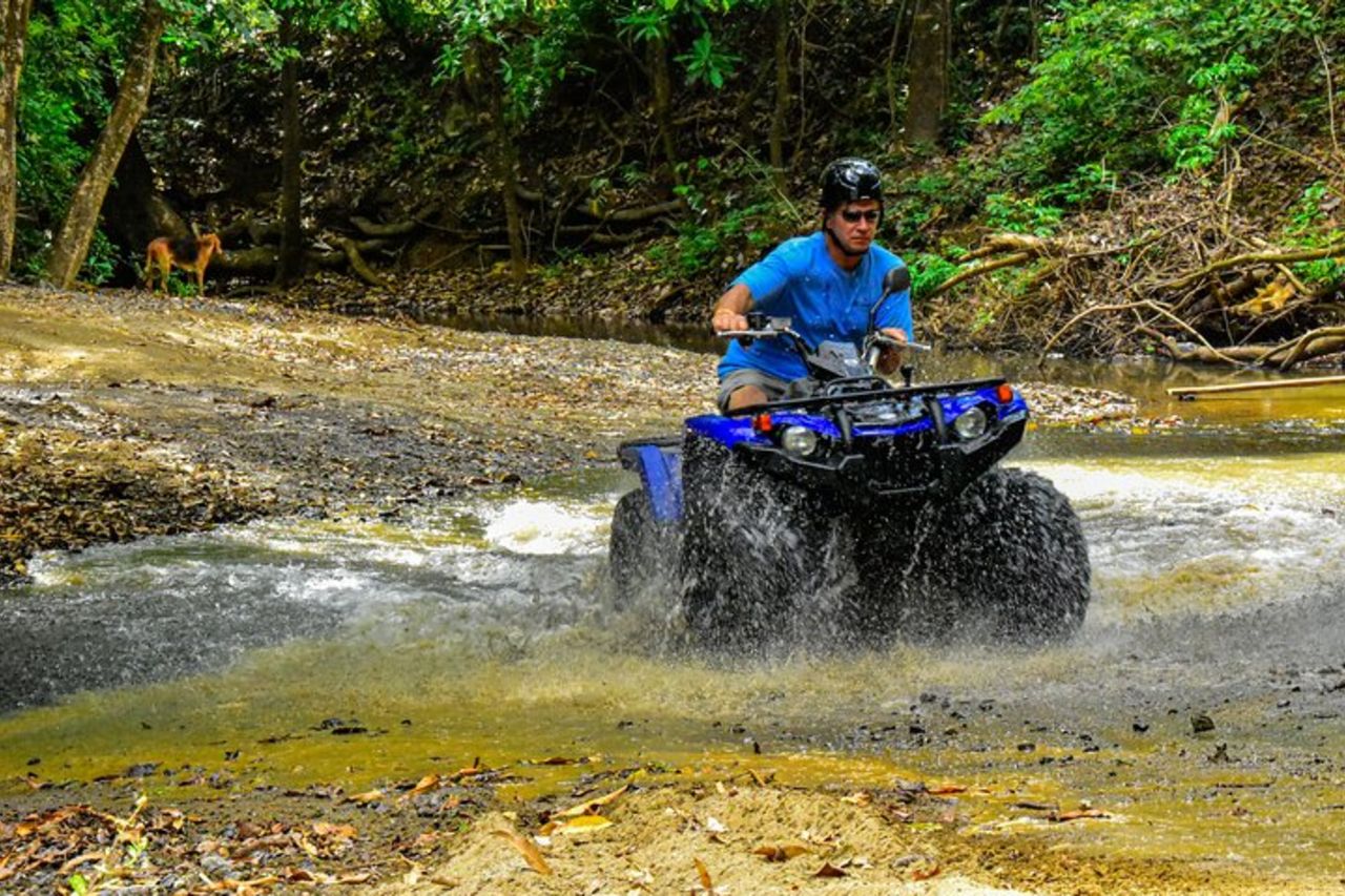 Explorando Guanacaste en Viareggio