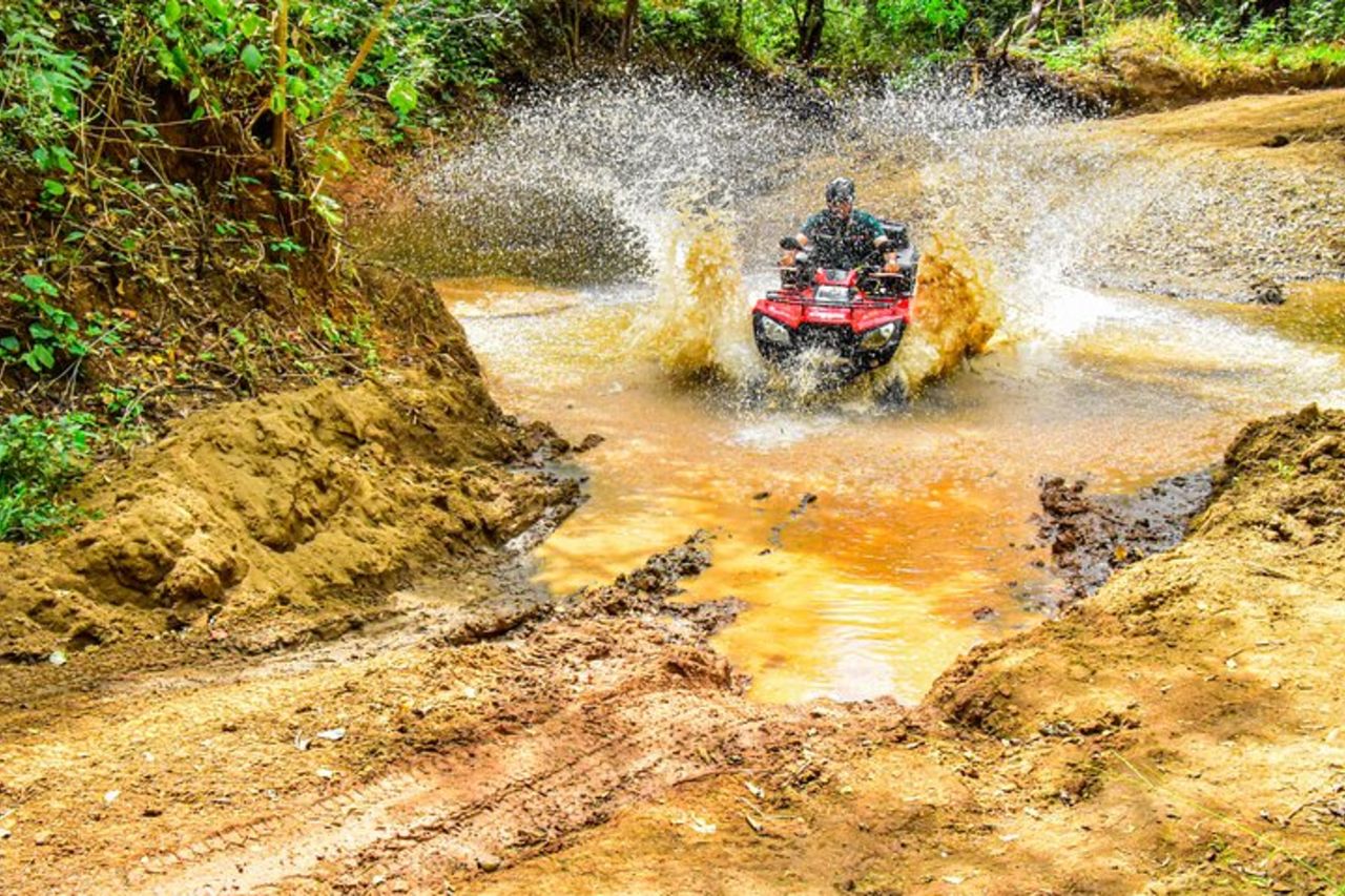 Explorando Guanacaste en Viareggio — 3